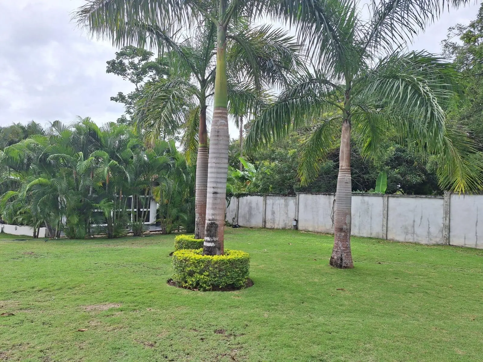 Punta Barco, Las Islas, Villa Iguana - Photo 106