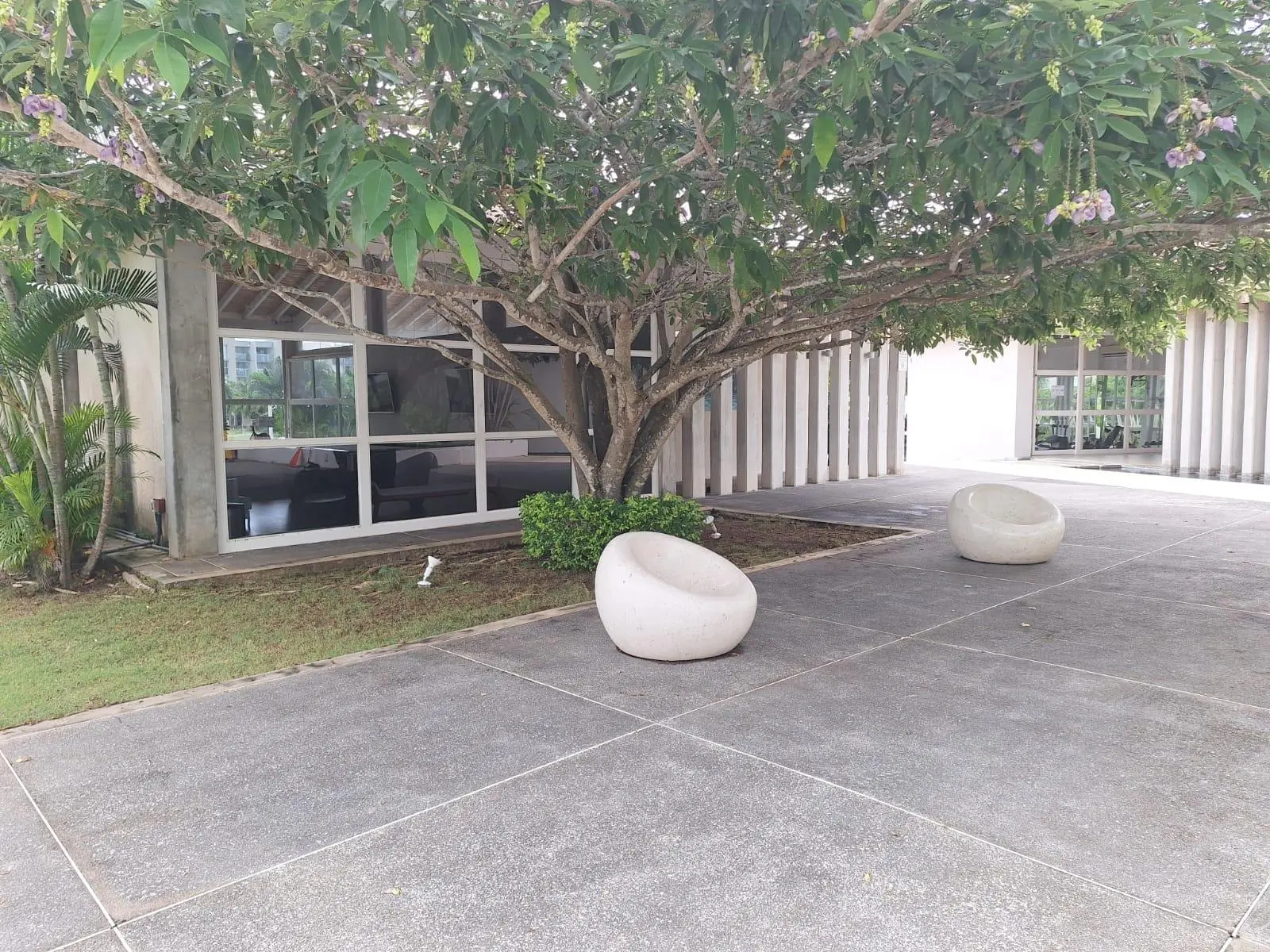 Punta Barco, Las Islas, Villa Iguana - Photo 112