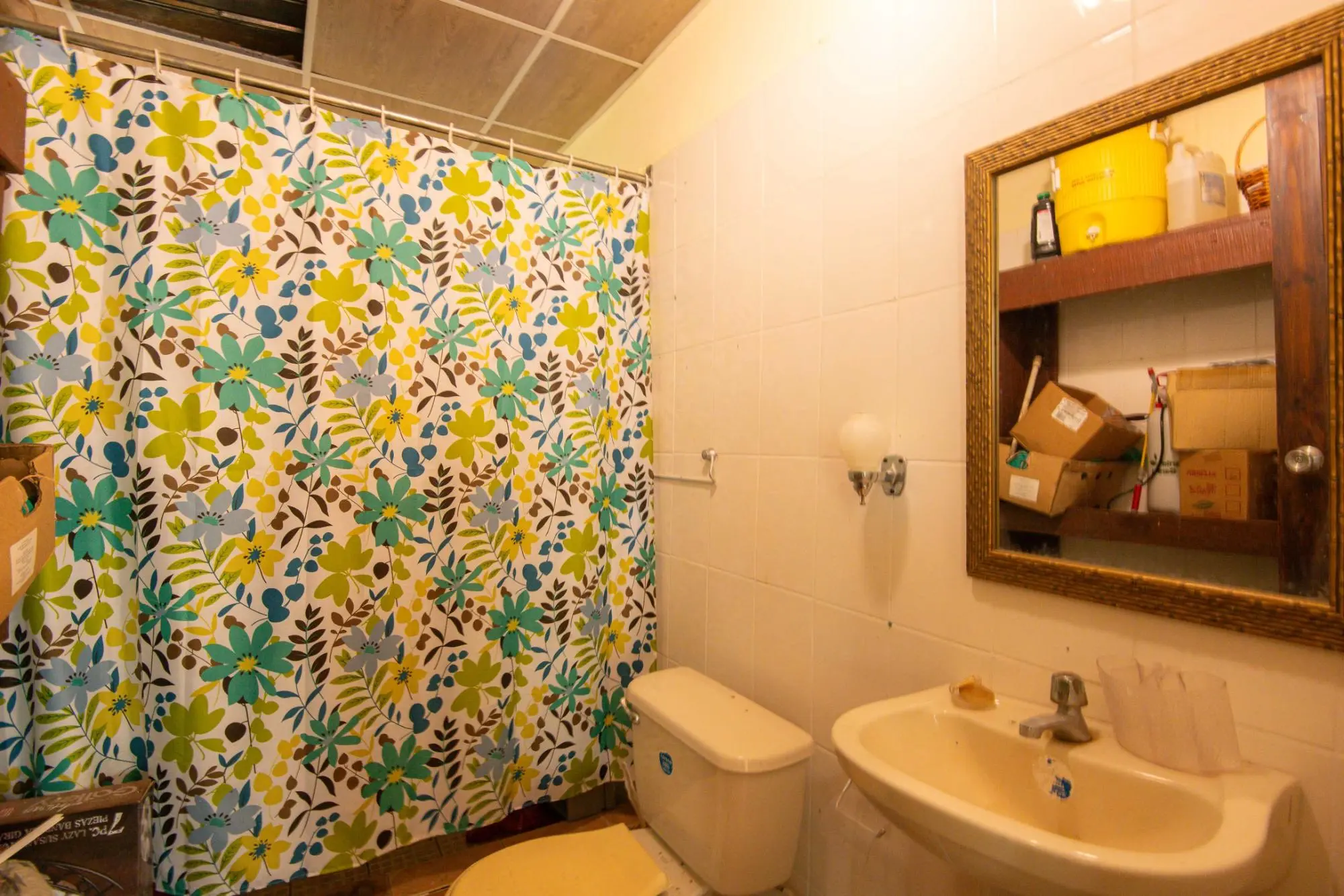 Avenida Principal, Cabuya, Chame - Photo 57