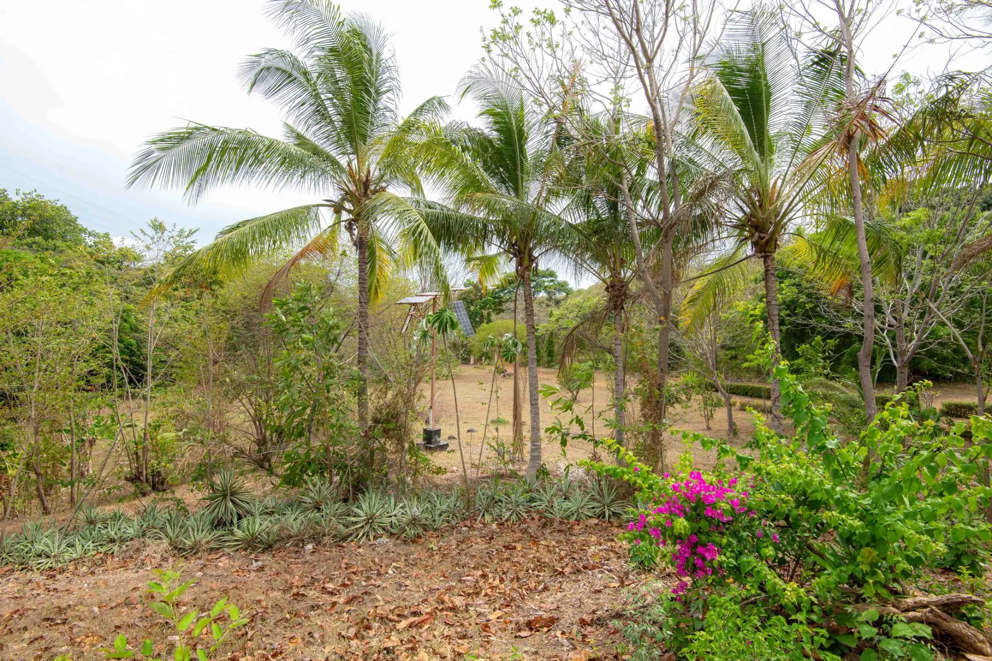 Avenida Principal, Cabuya, Chame - Photo 86