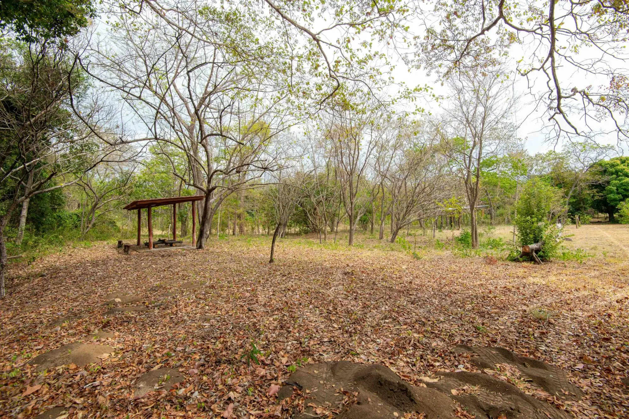 Avenida Principal, Cabuya, Chame - Photo 96