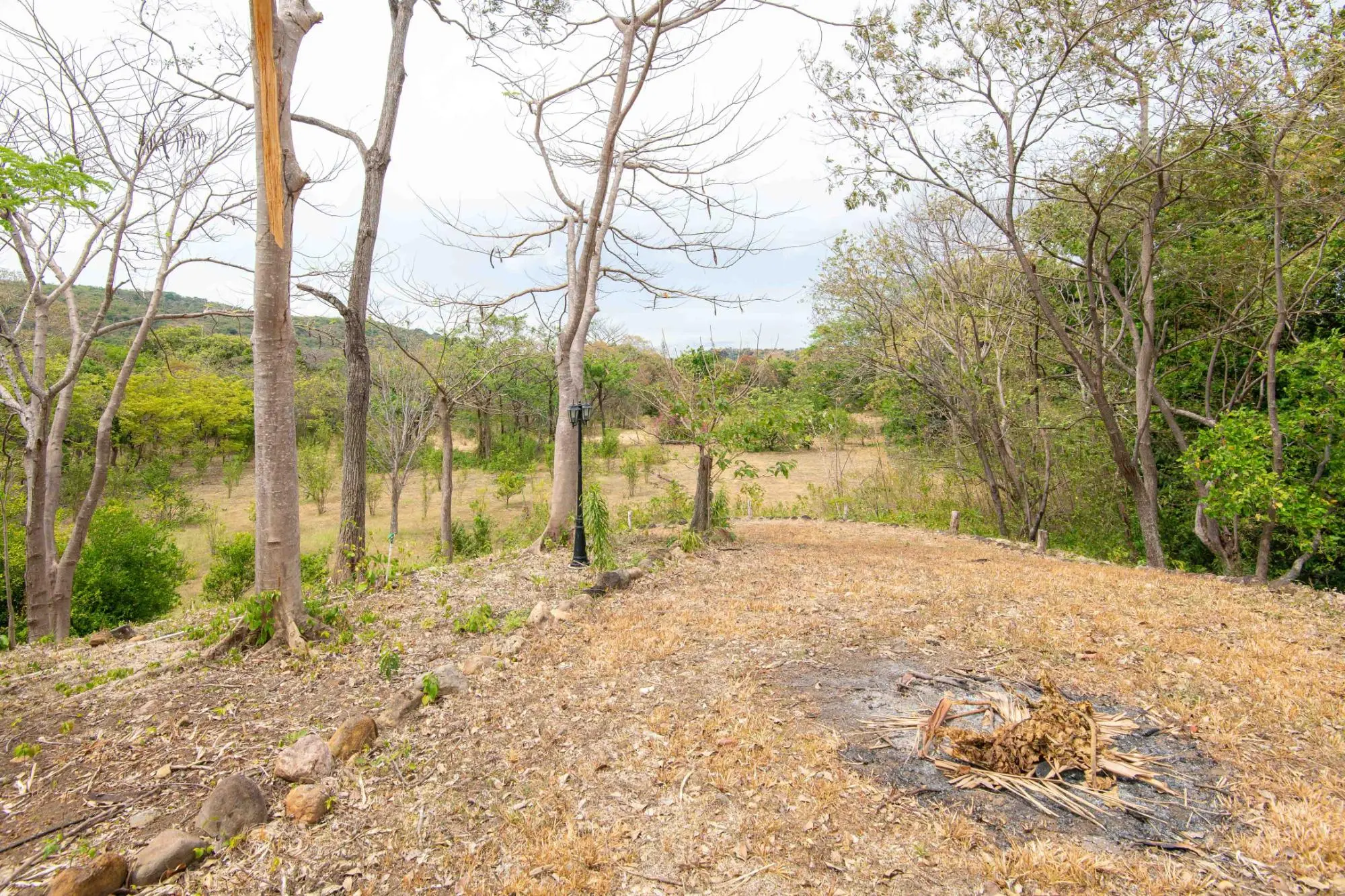 Avenida Principal, Cabuya, Chame - Photo 79