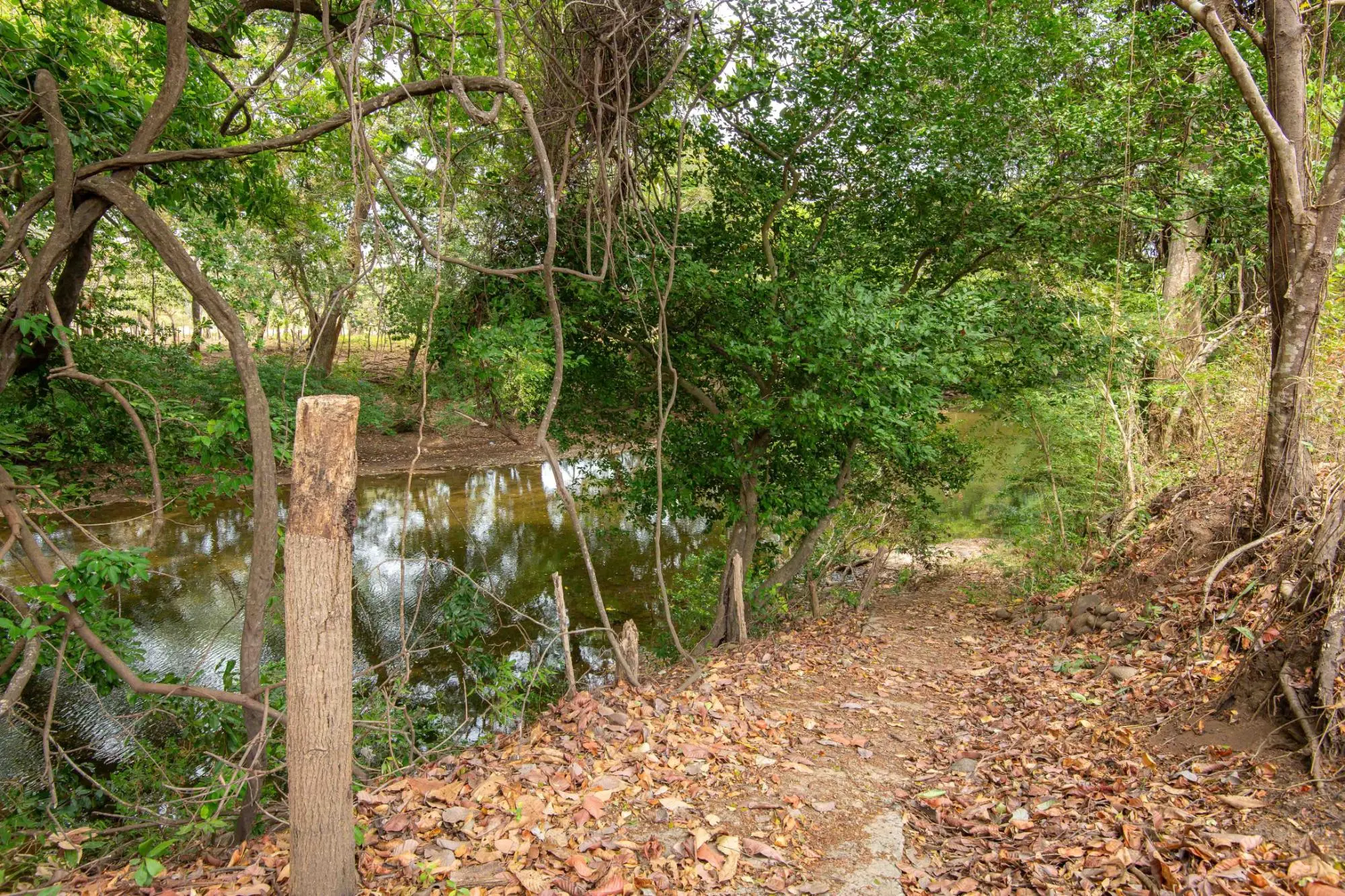 Avenida Principal, Cabuya, Chame - Photo 9