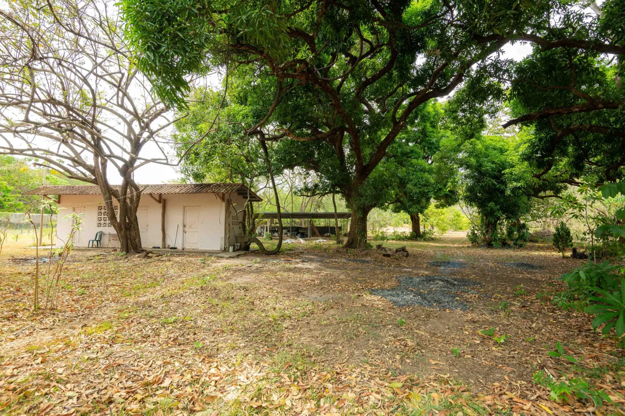 Avenida Principal, Cabuya, Chame - Photo 91