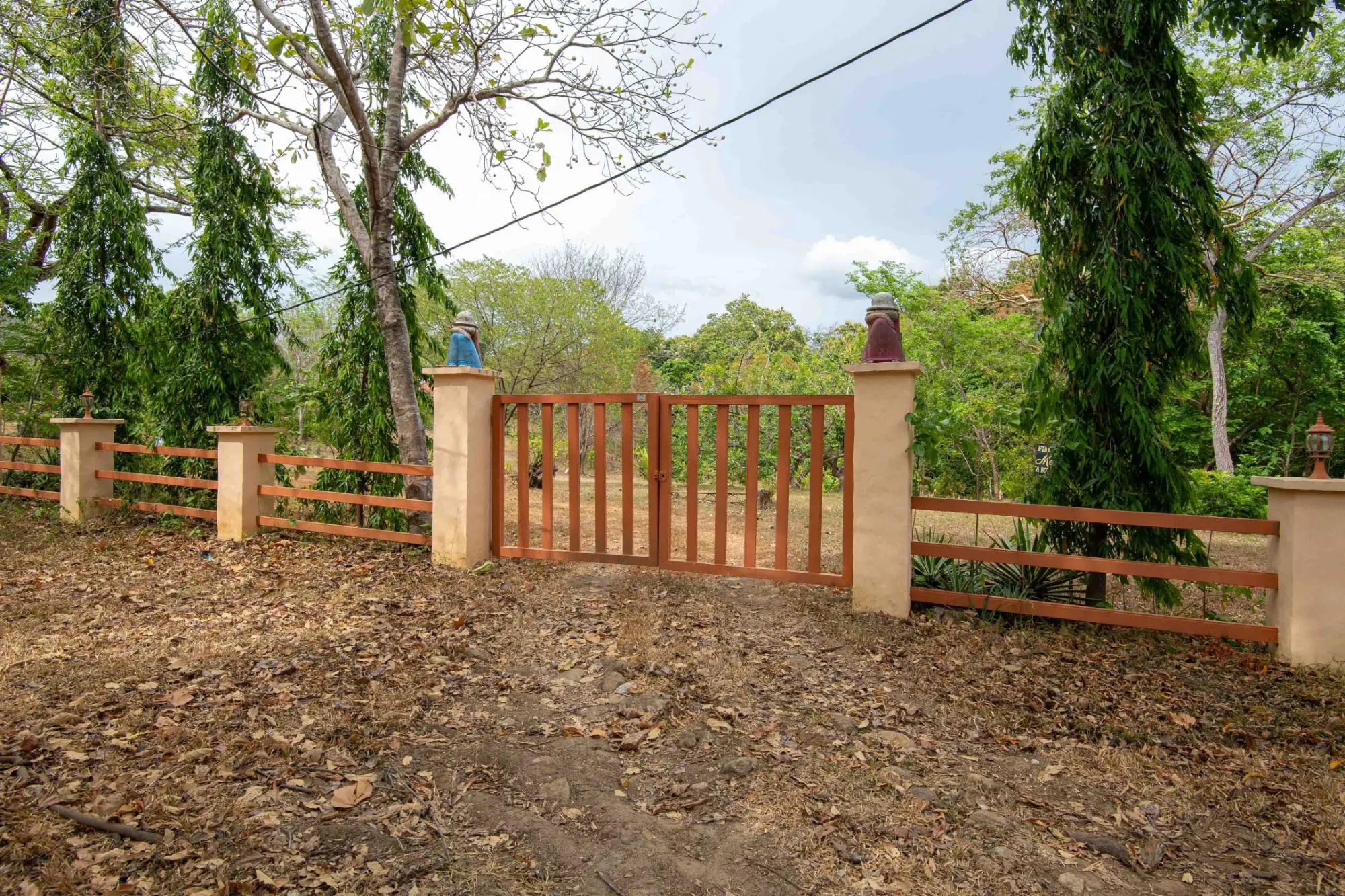 Avenida Principal, Cabuya, Chame - Photo 100