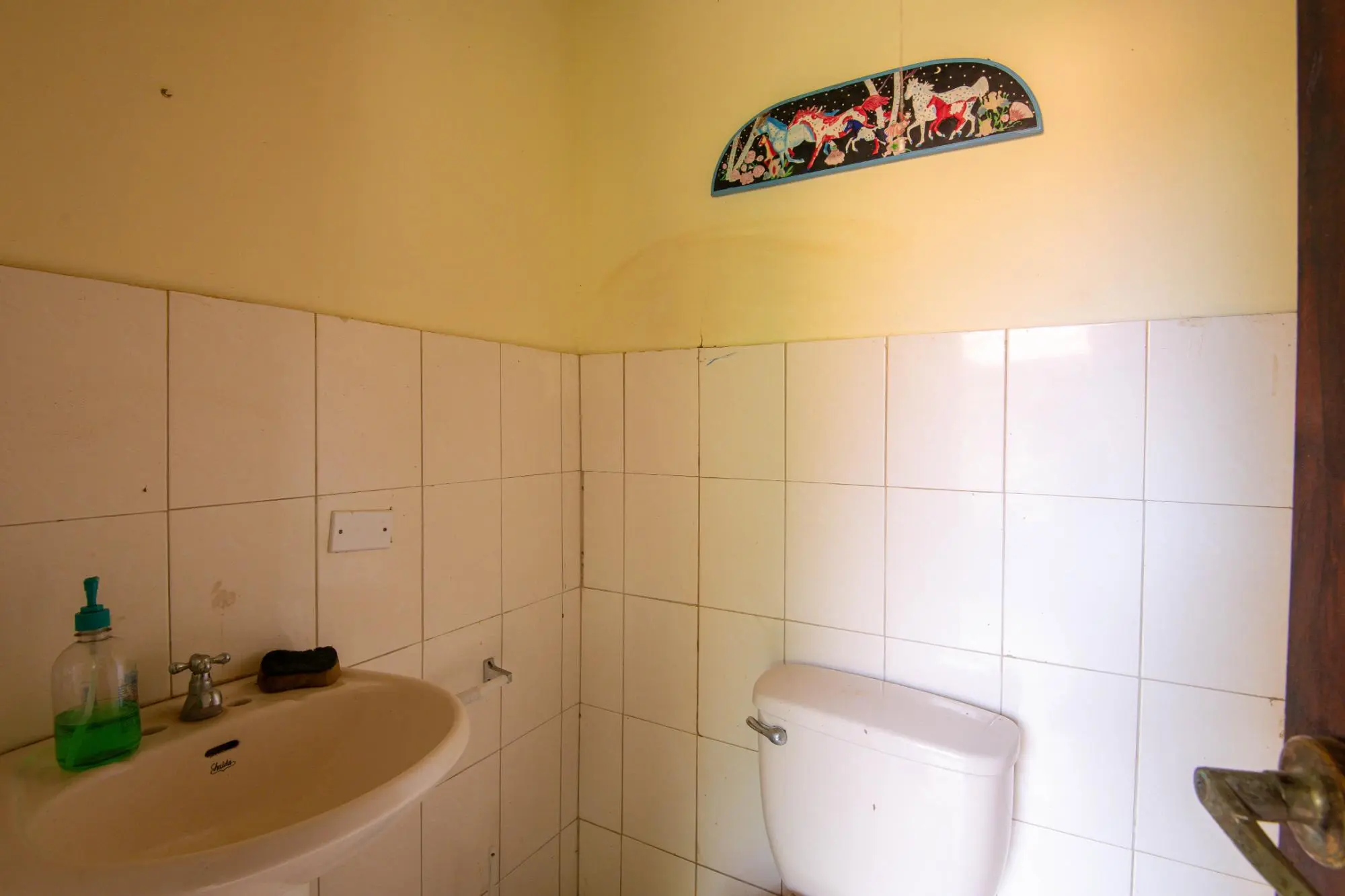 Avenida Principal, Cabuya, Chame - Photo 58