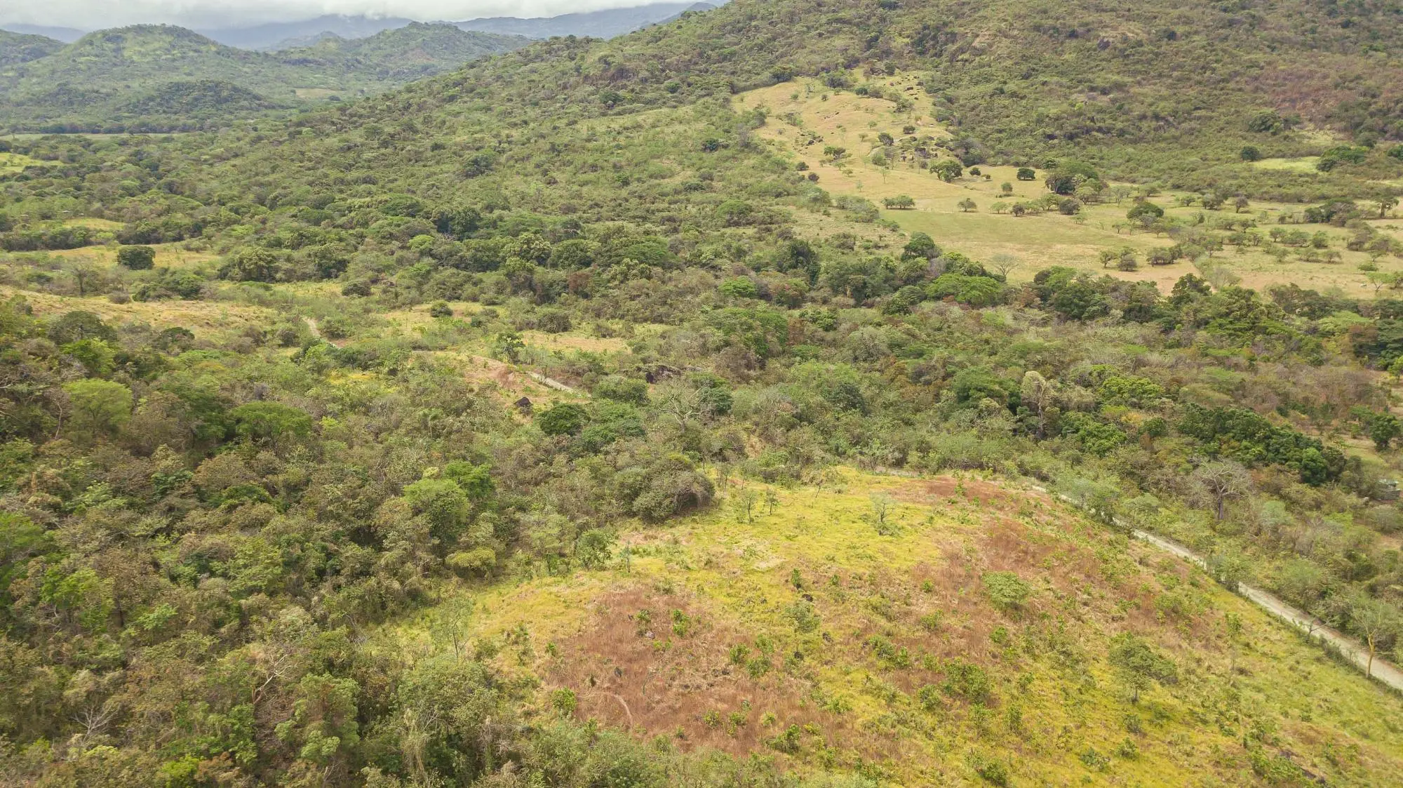 Avenida Principal, Cabuya, Chame - Photo 34