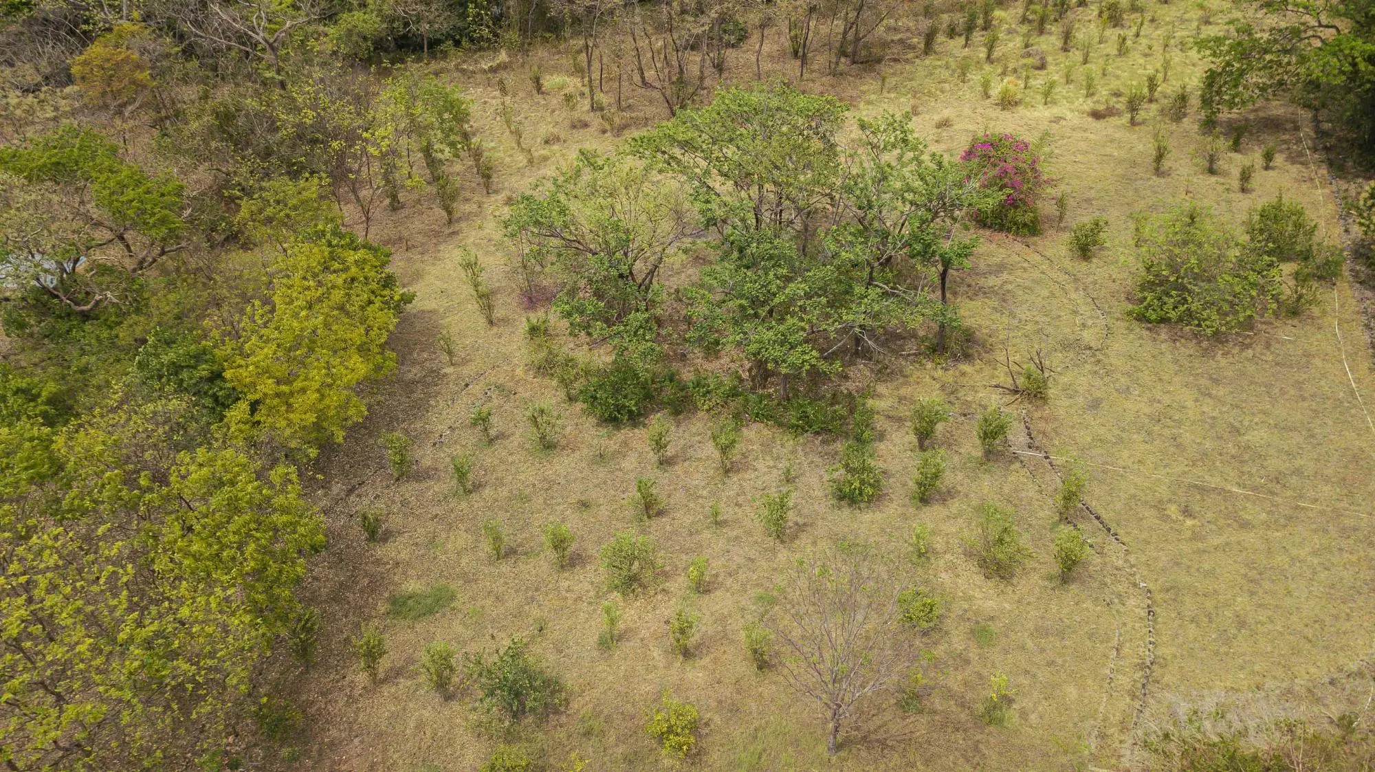 Avenida Principal, Cabuya, Chame - Photo 47