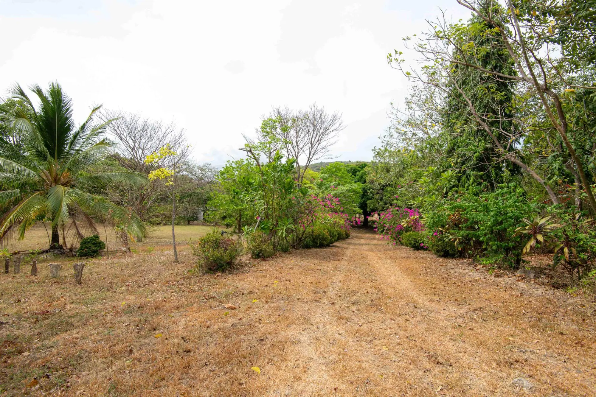 Avenida Principal, Cabuya, Chame - Photo 90