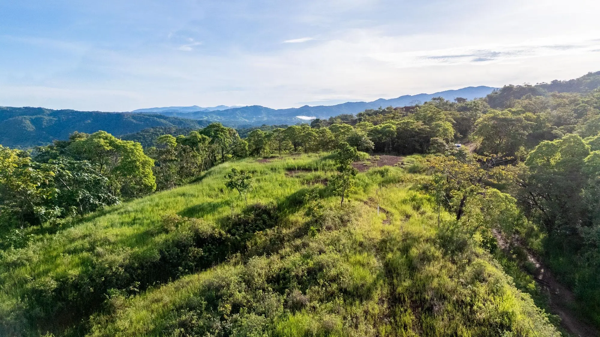 Torio Hills - Photo 10