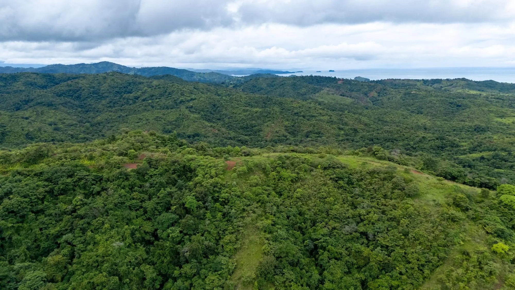 Torio Hills - Photo 18