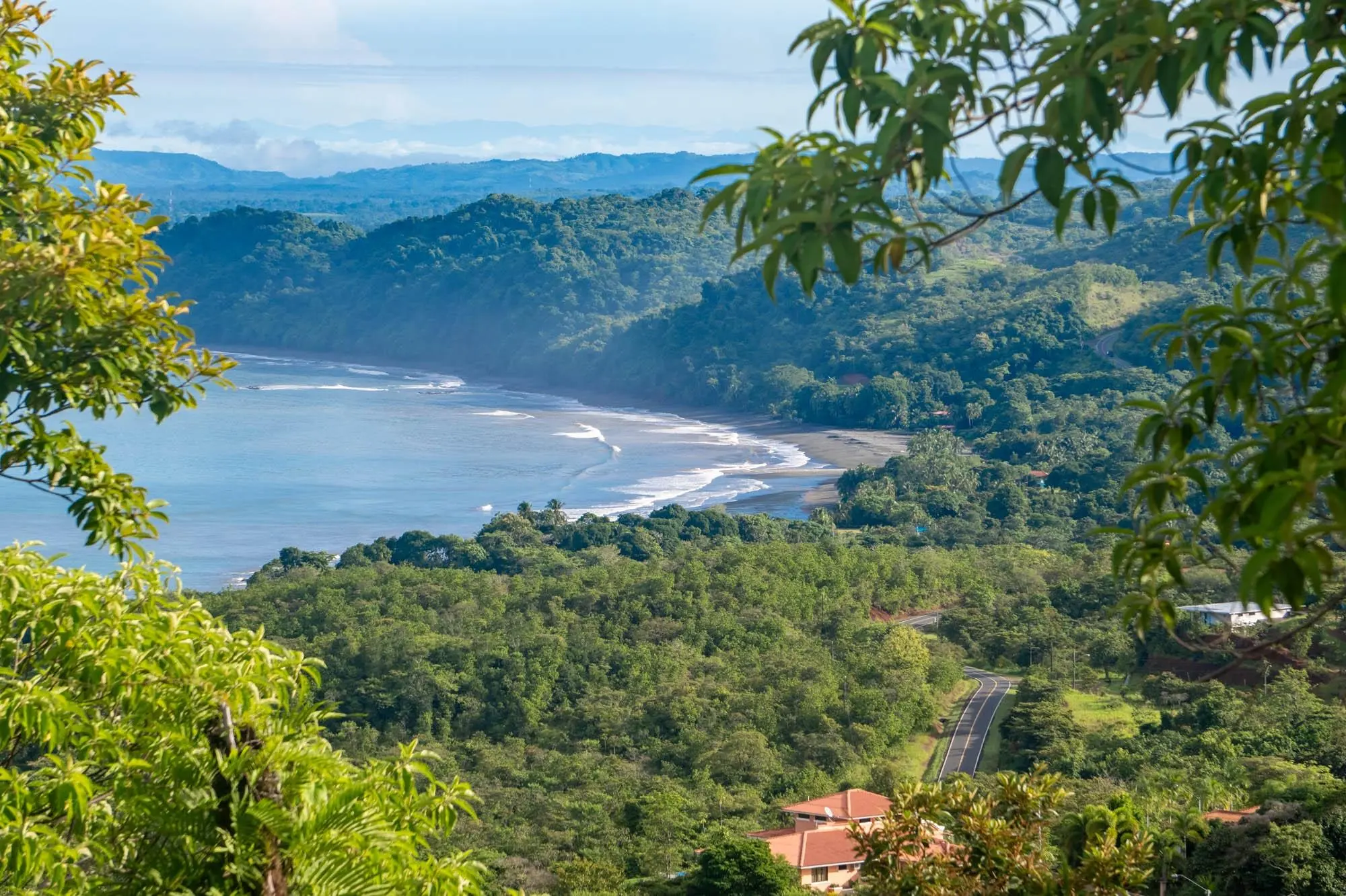 Torio Hills - Photo 20