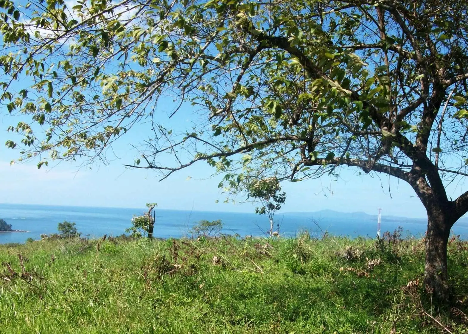 Torio Hills - Photo 27