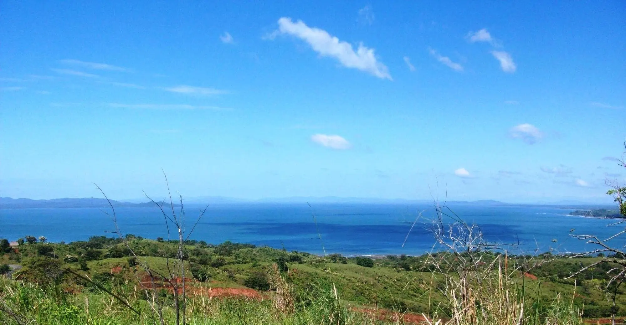 Torio Hills - Photo 29