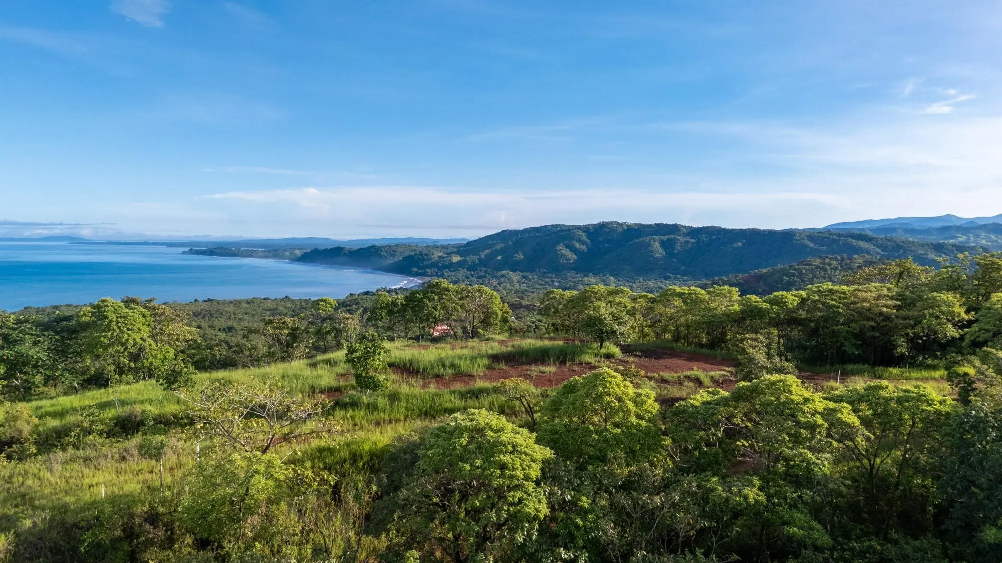 Torio Hills - Photo 14