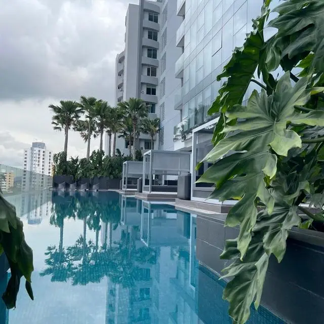 Calle 42, Bella Vista #nuovo 3007 - Photo 13