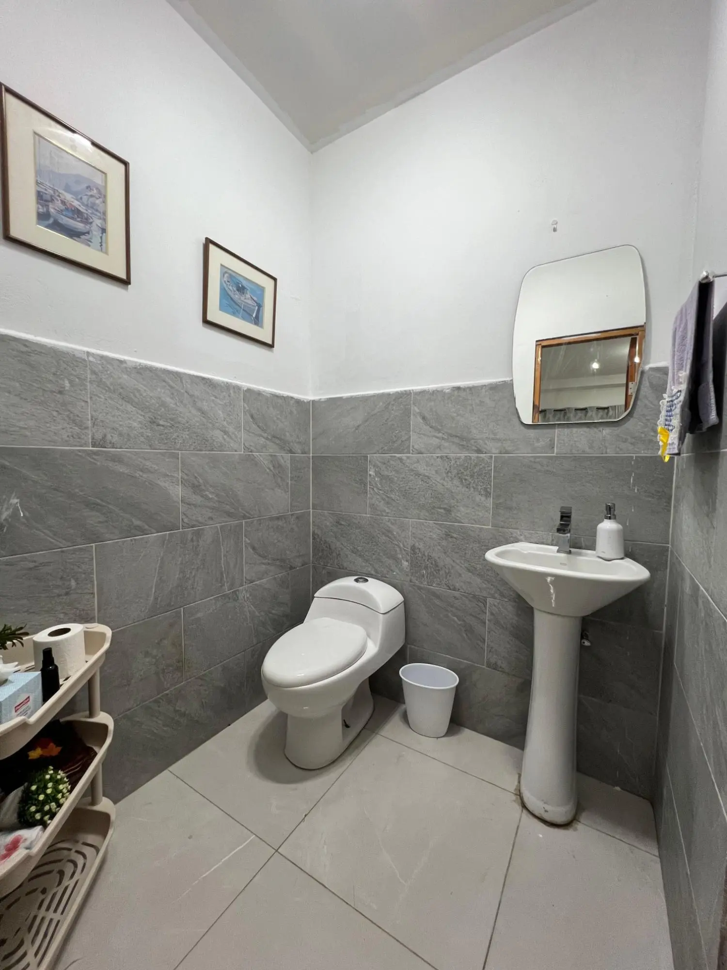 El Frances, Alto Boquete #1 - Photo 23