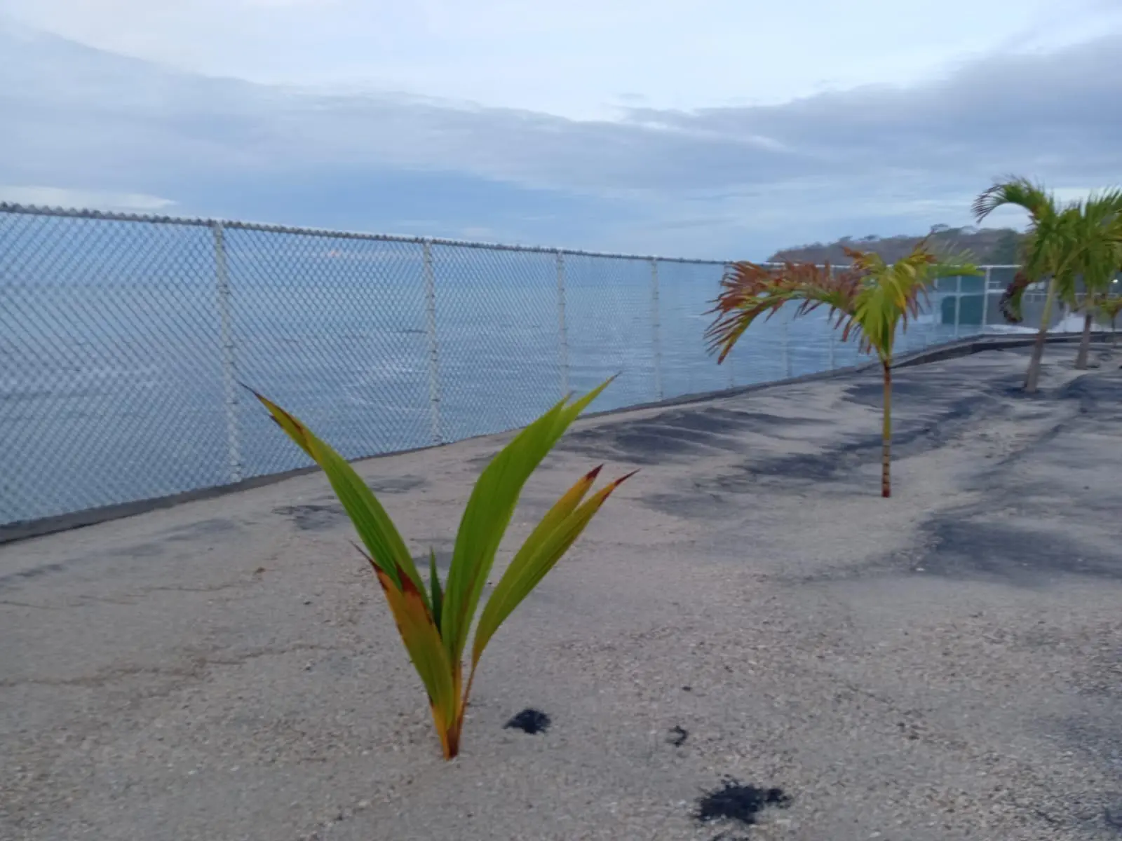Casa Frente Al Mar En Playa El Palmar - Photo 68