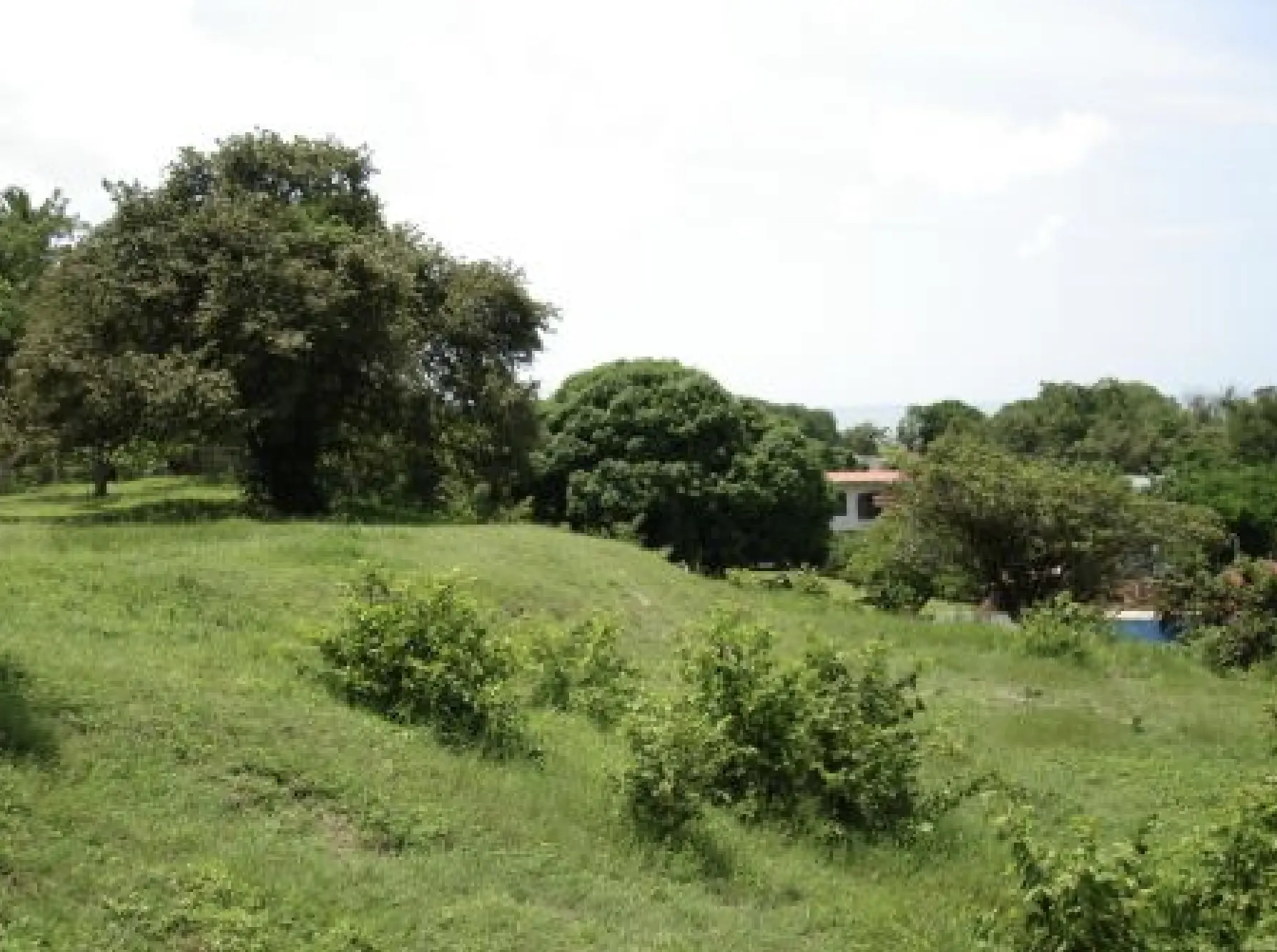 Nueva Gorgona, Ave. Loren Élizabeth, Lote Terreno S/n, Chame - Photo 3