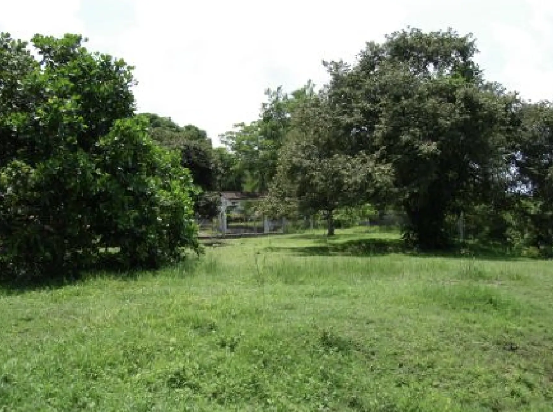 Nueva Gorgona, Ave. Loren Élizabeth, Lote Terreno S/n, Chame - Photo 4