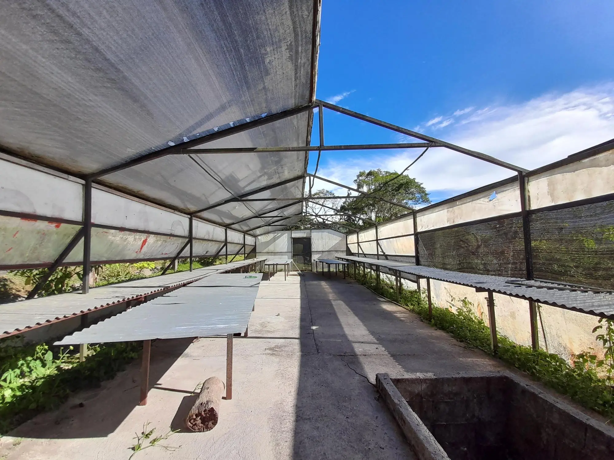 Volcan Chiriqui - Photo 42