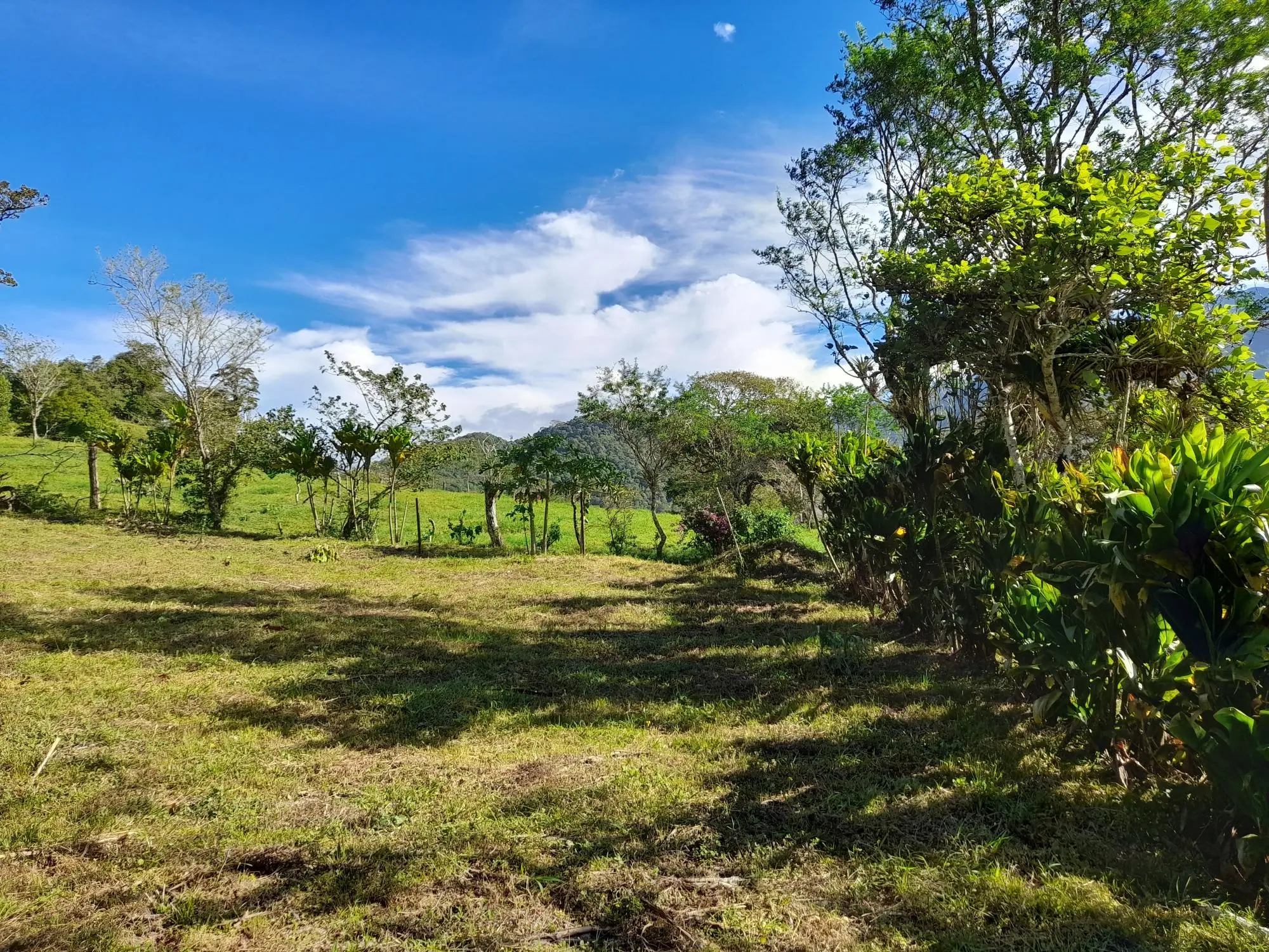 Volcan Chiriqui - Photo 208