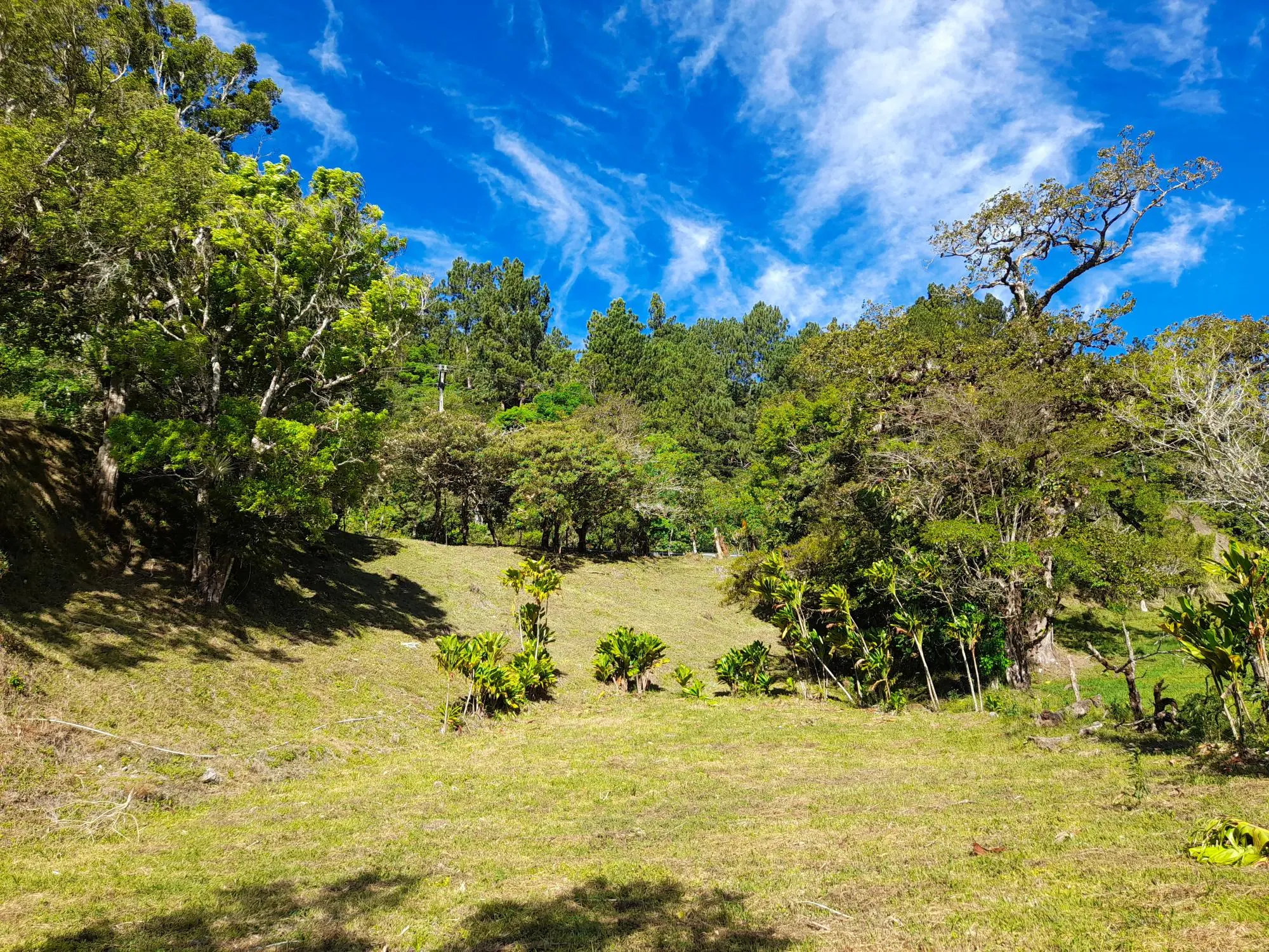 Volcan Chiriqui - Photo 132