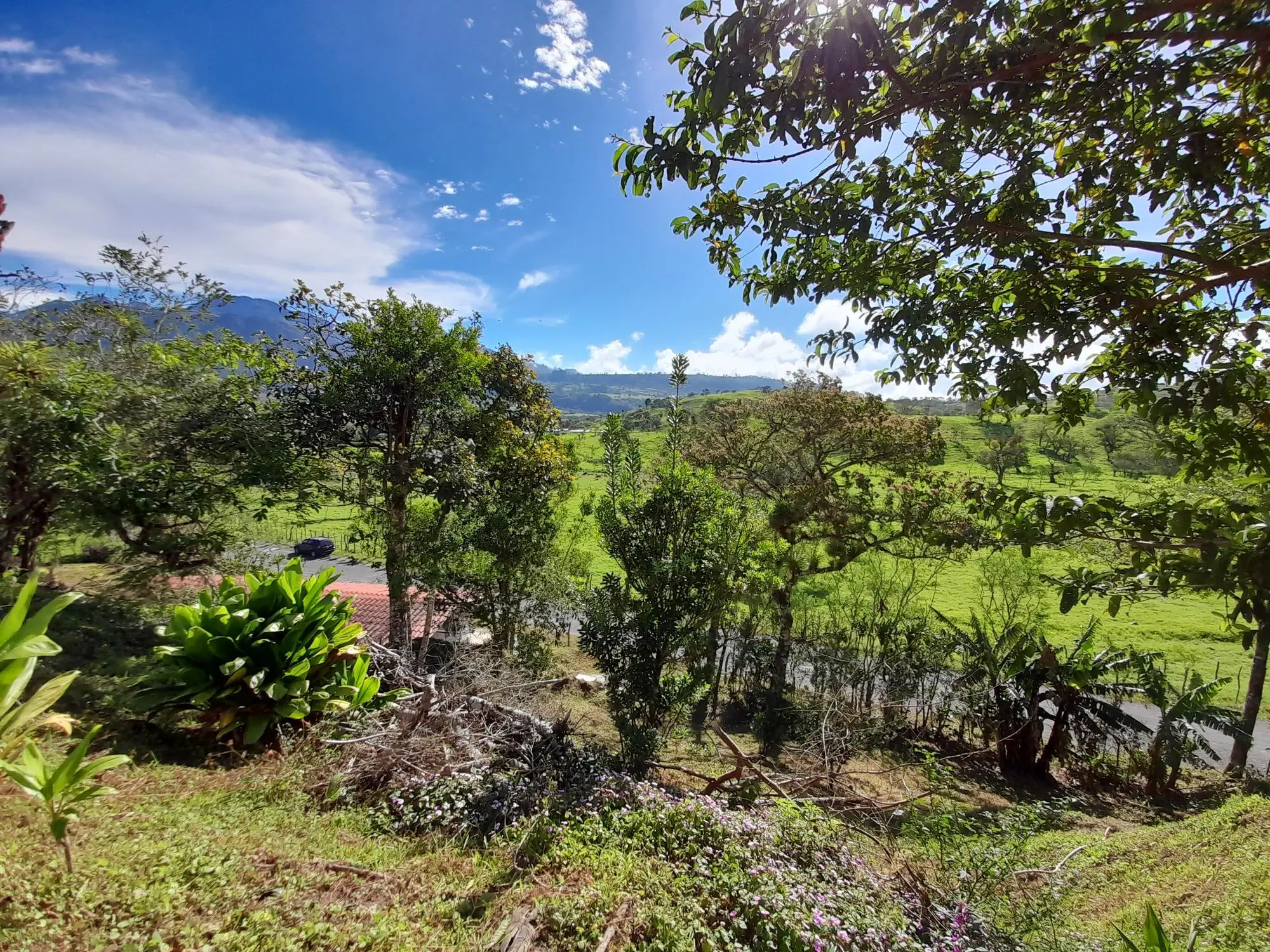 Volcan Chiriqui - Photo 45