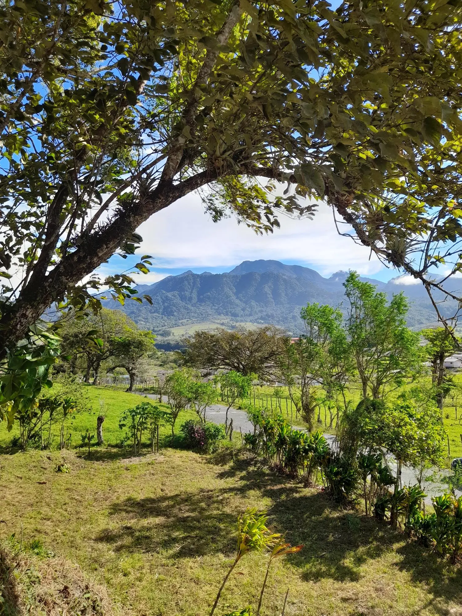 Volcan Chiriqui - Photo 113