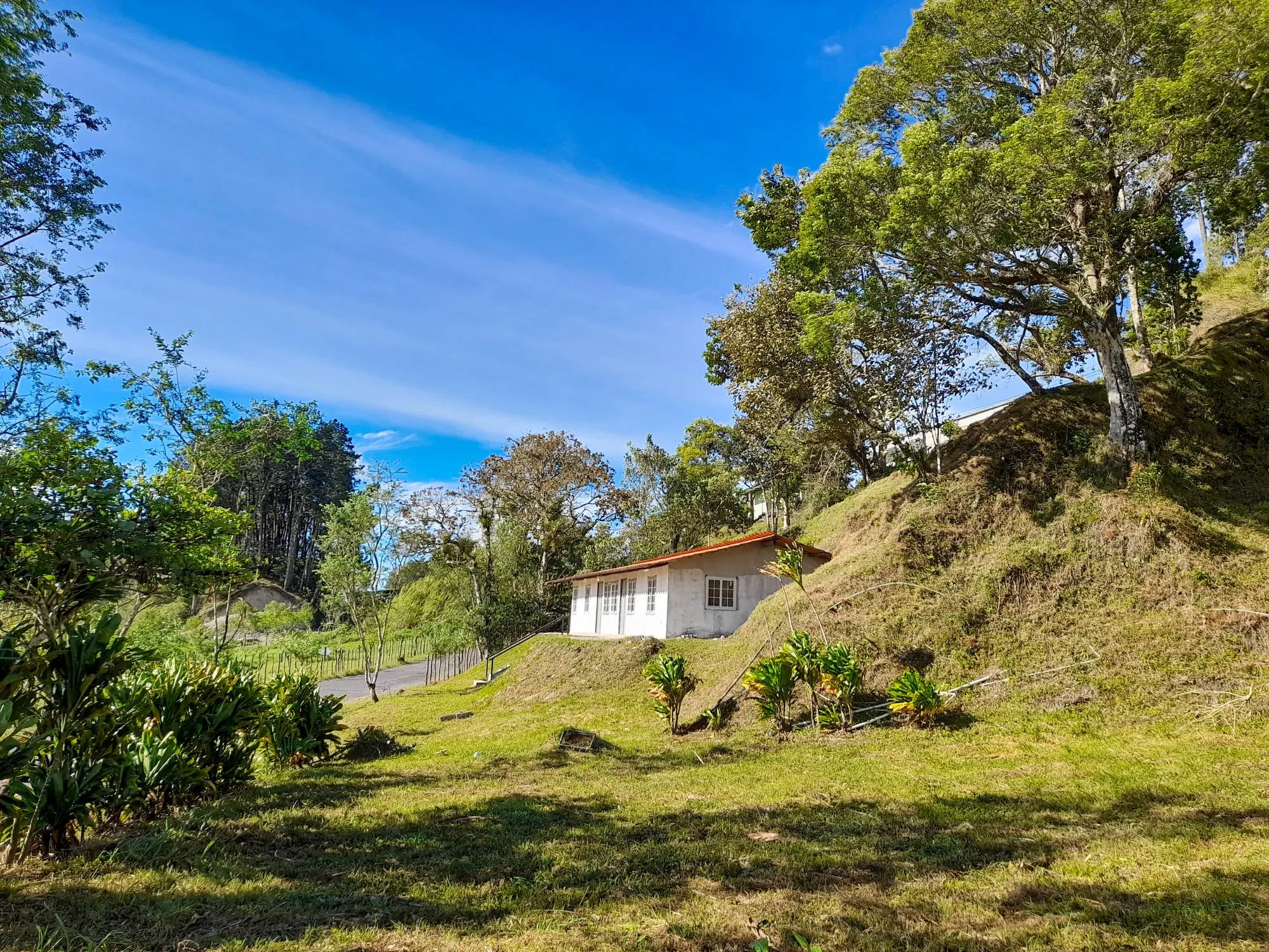 Volcan Chiriqui - Photo 77