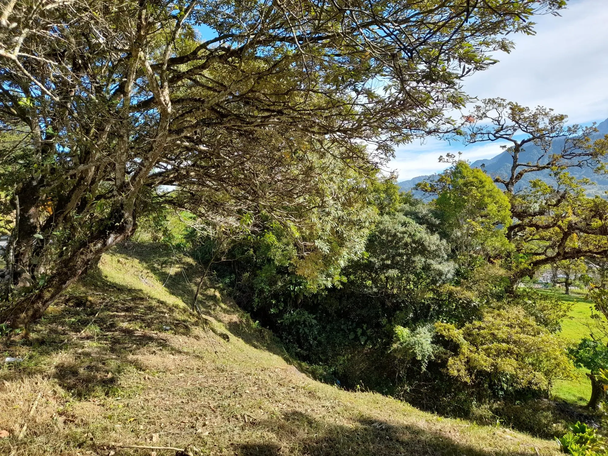 Volcan Chiriqui - Photo 99