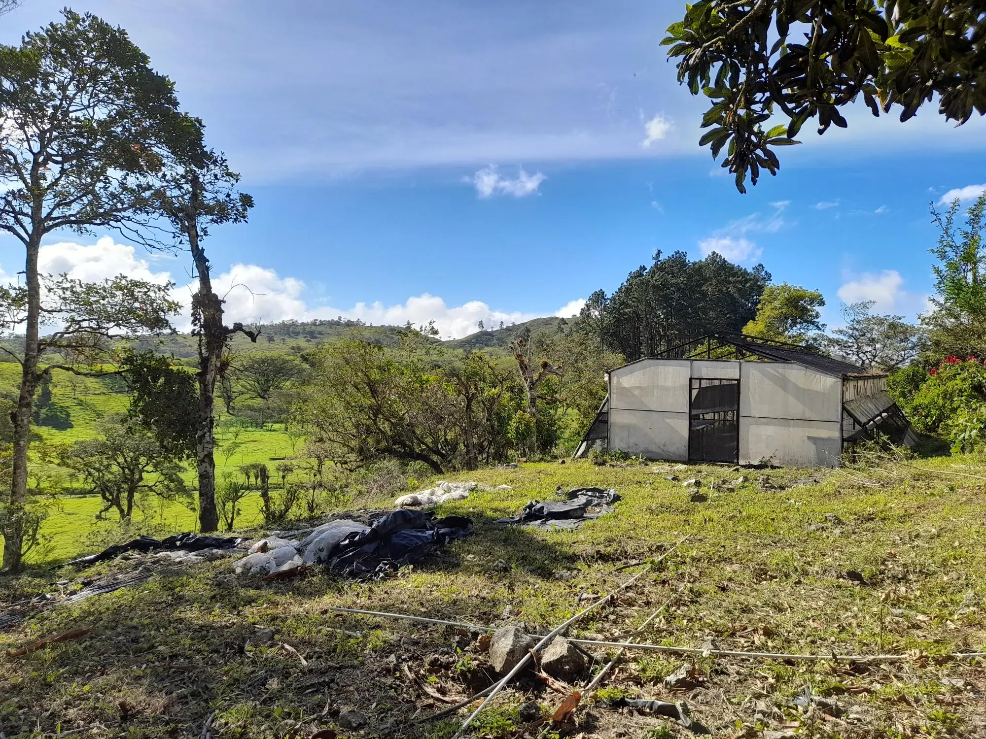 Volcan Chiriqui - Photo 86