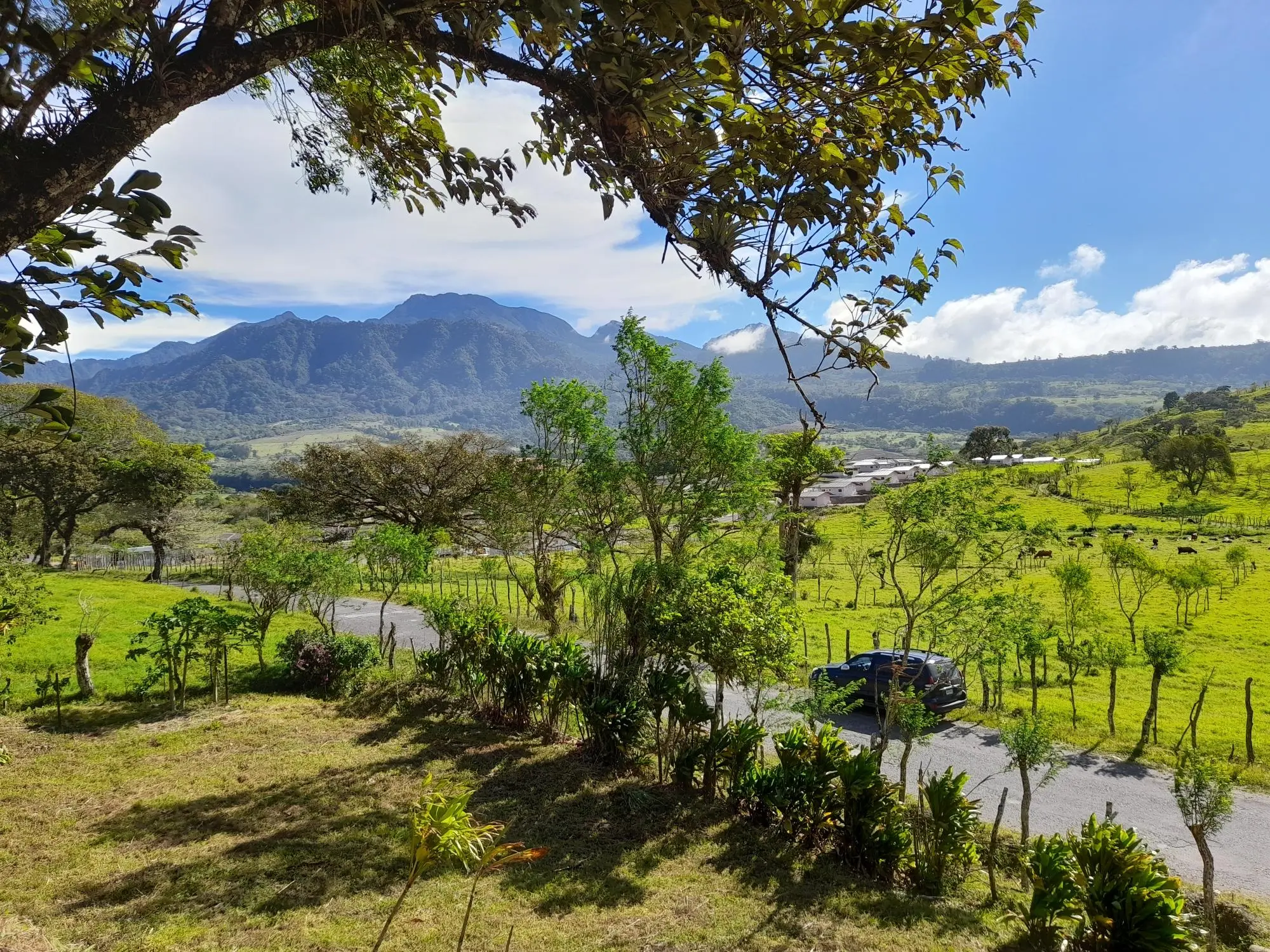 Volcan Chiriqui - Photo 116