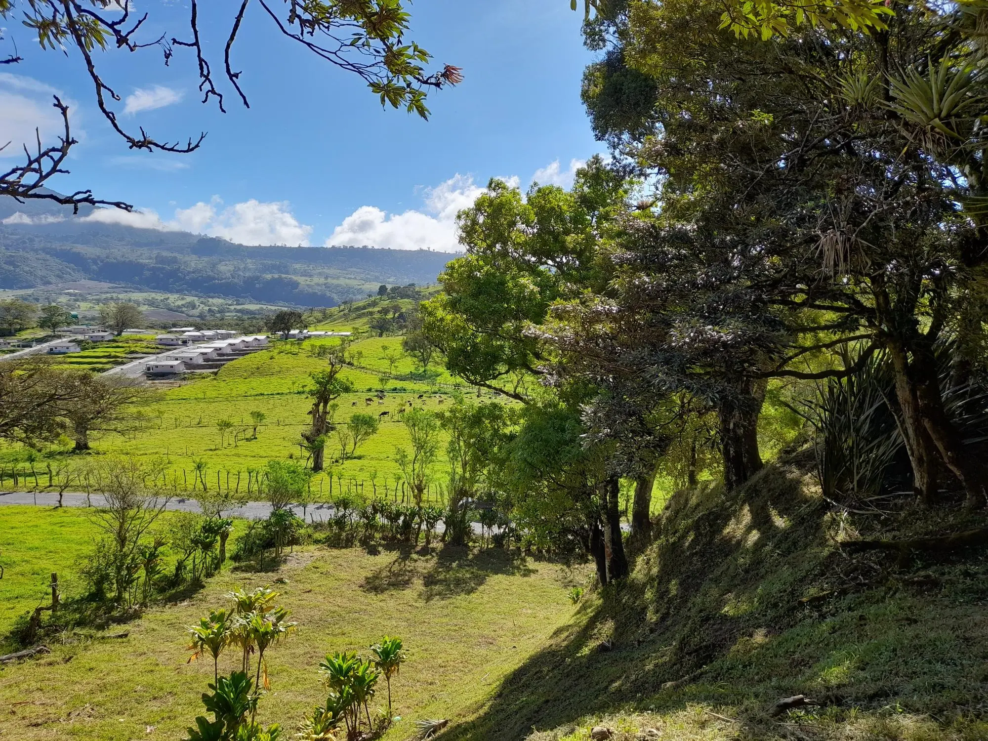 Volcan Chiriqui - Photo 100