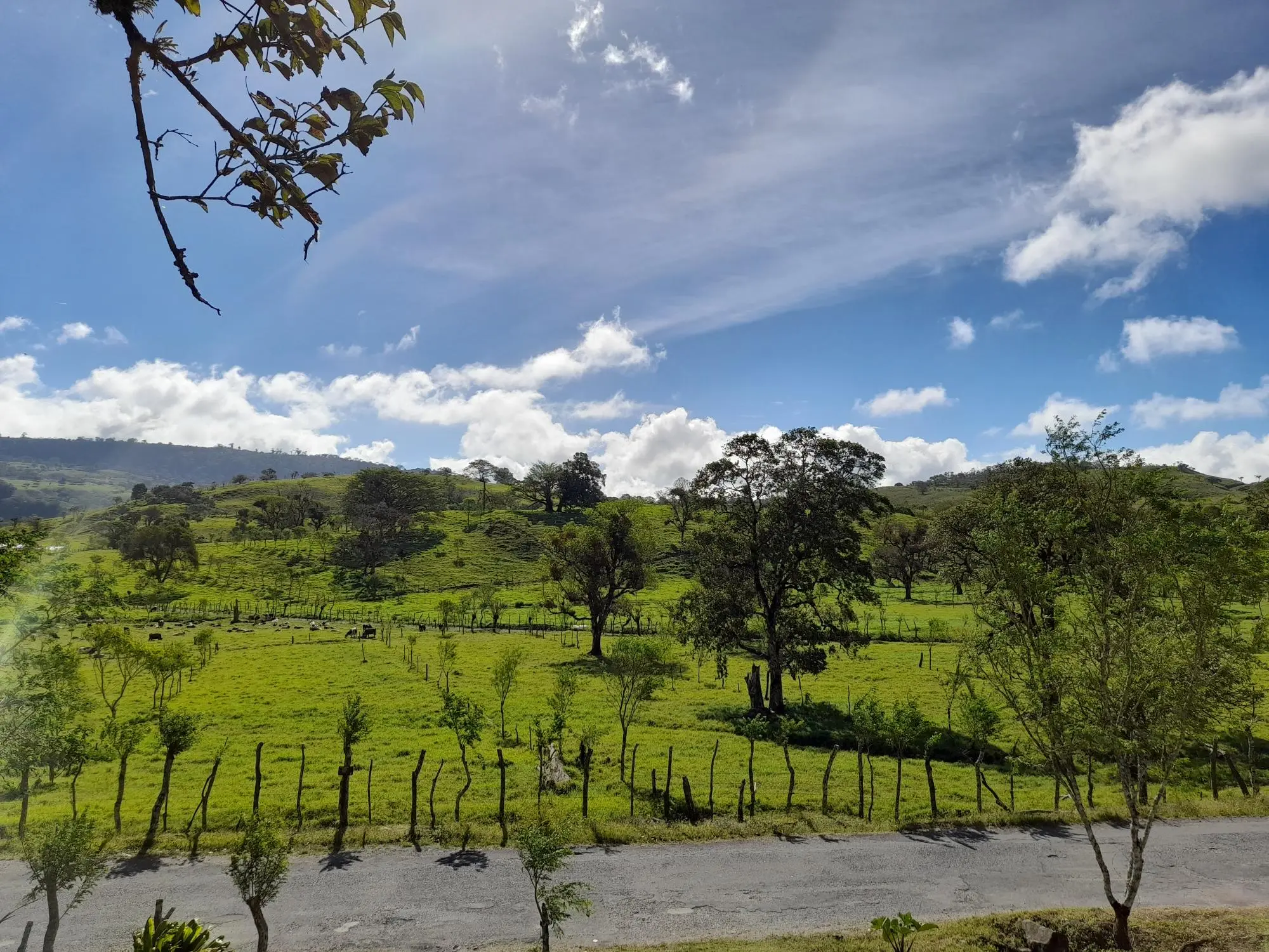 Volcan Chiriqui - Photo 179