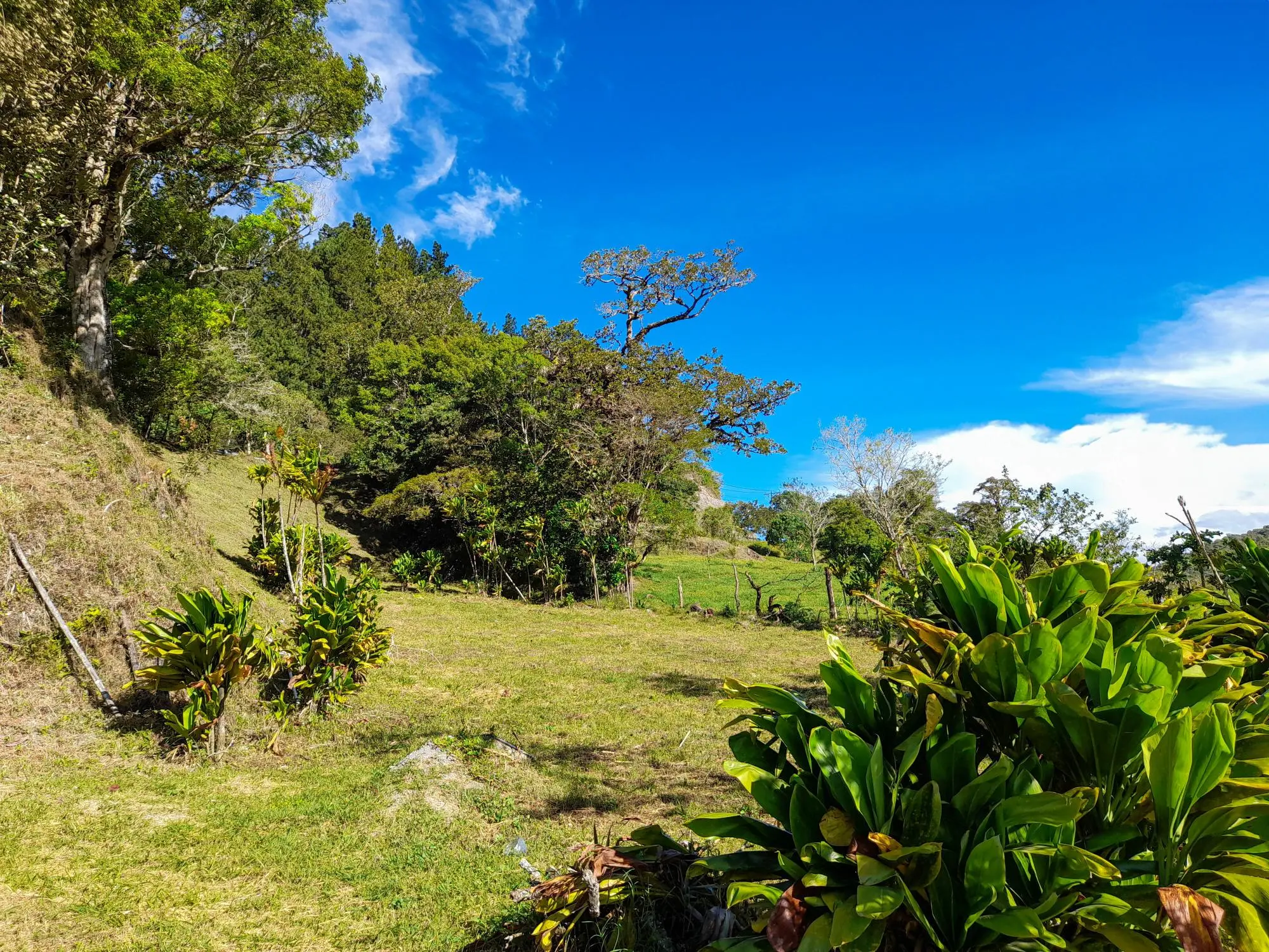 Volcan Chiriqui - Photo 5