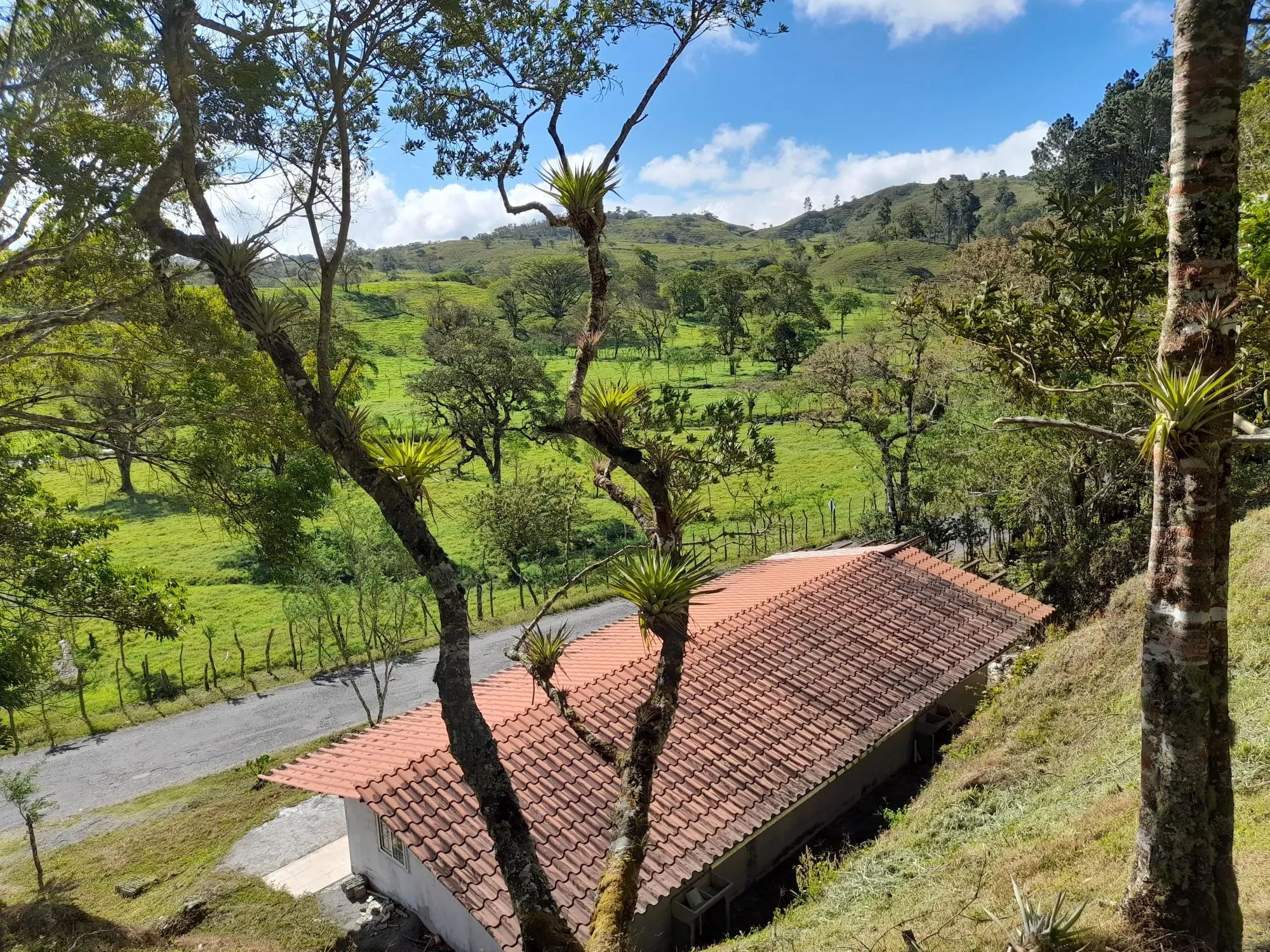 Volcan Chiriqui - Photo 107