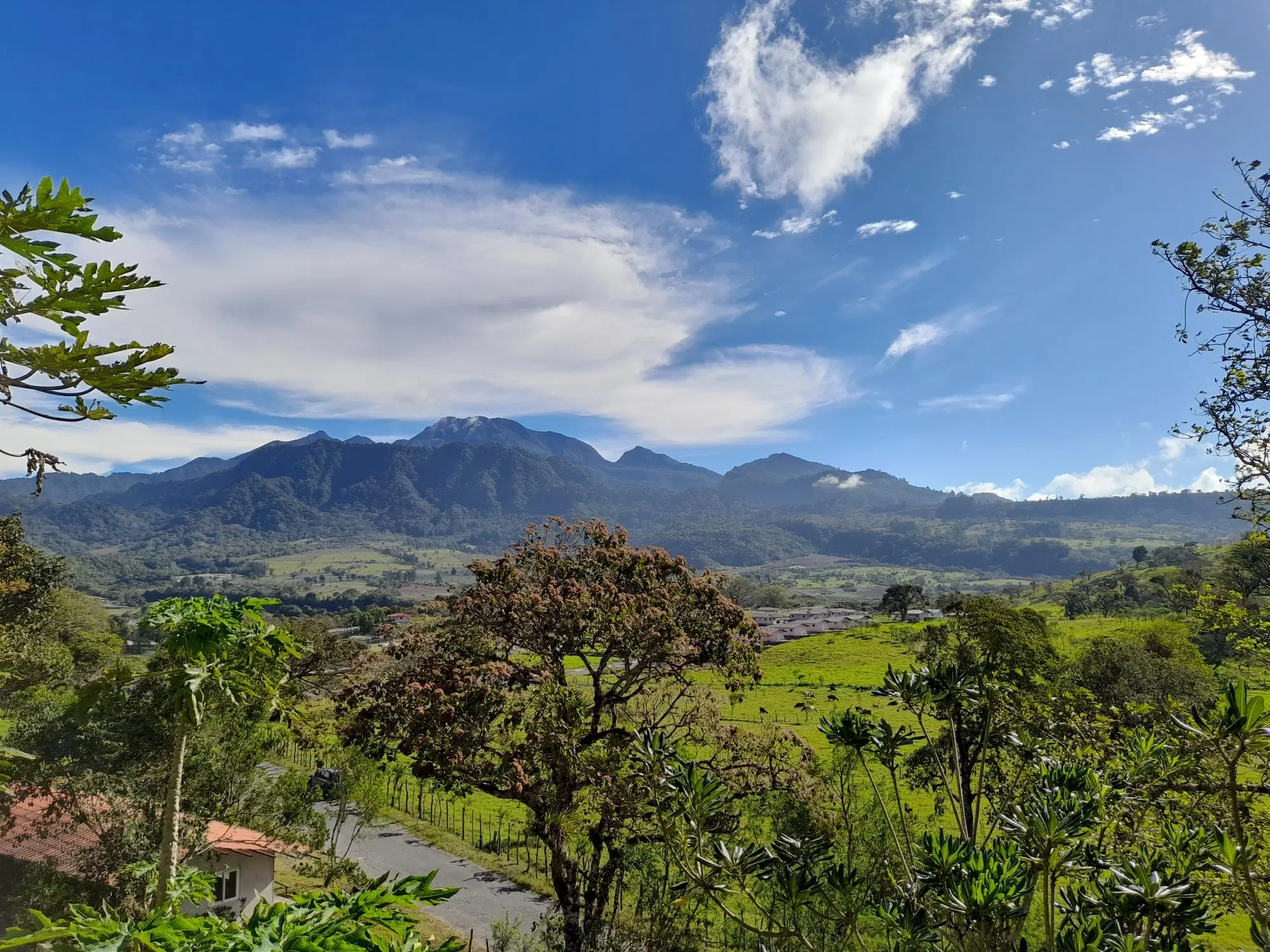 Volcan Chiriqui - Photo 235