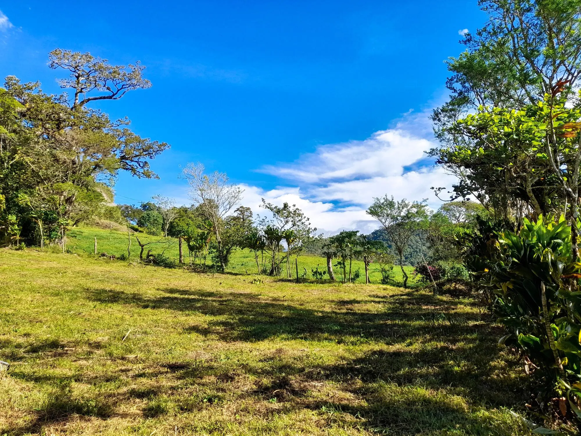 Volcan Chiriqui - Photo 206