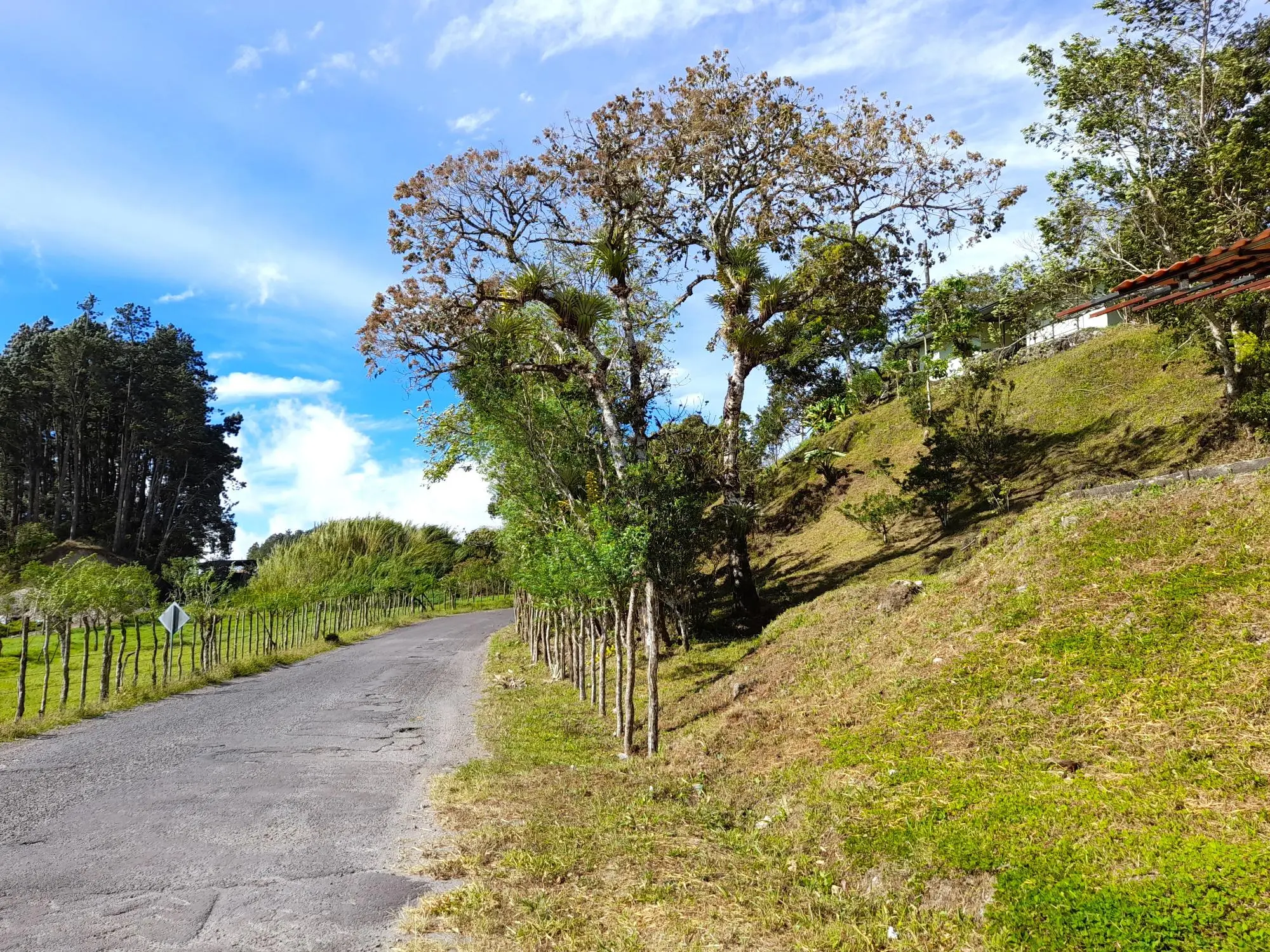 Volcan Chiriqui - Photo 184