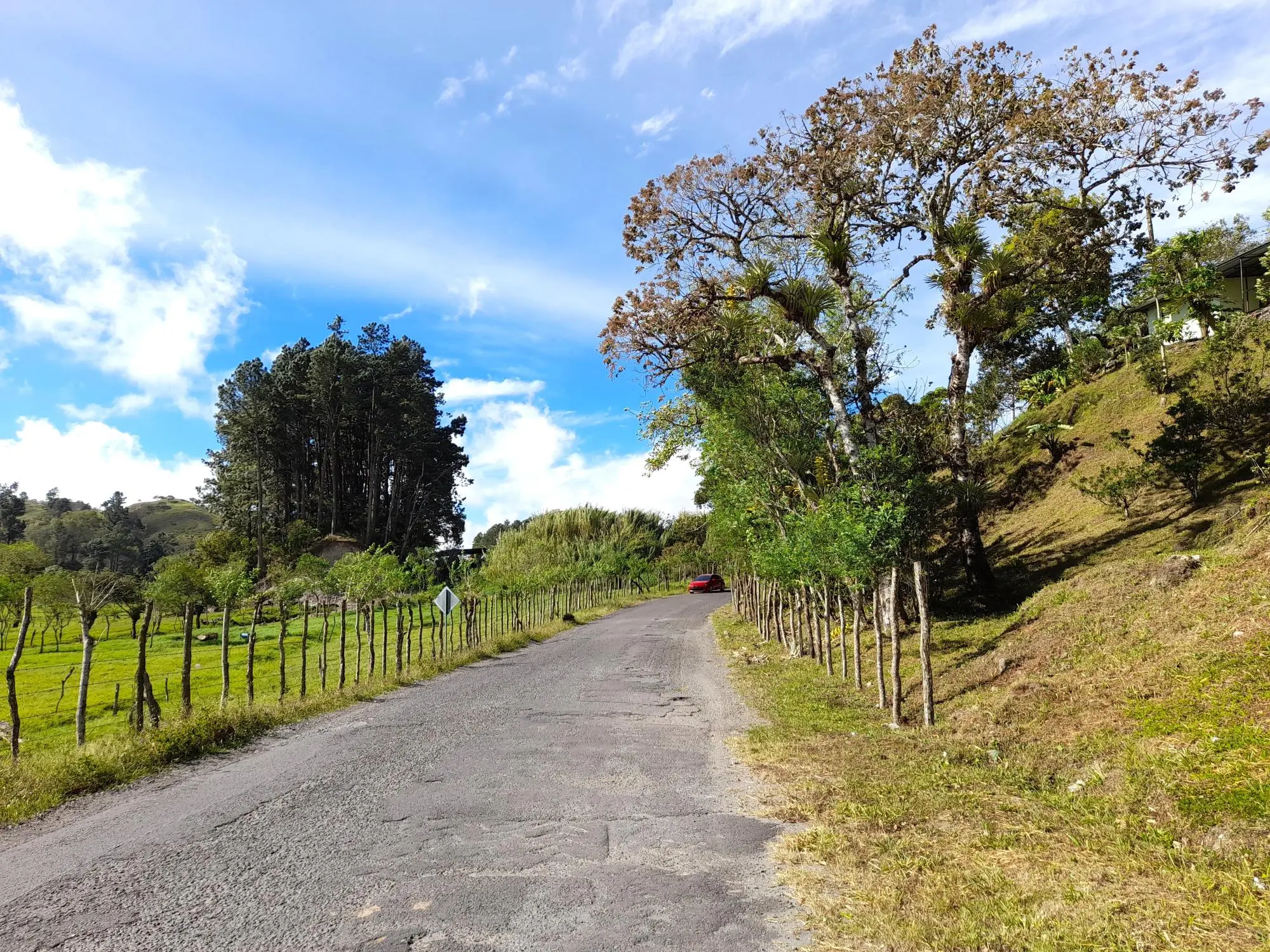Volcan Chiriqui - Photo 122