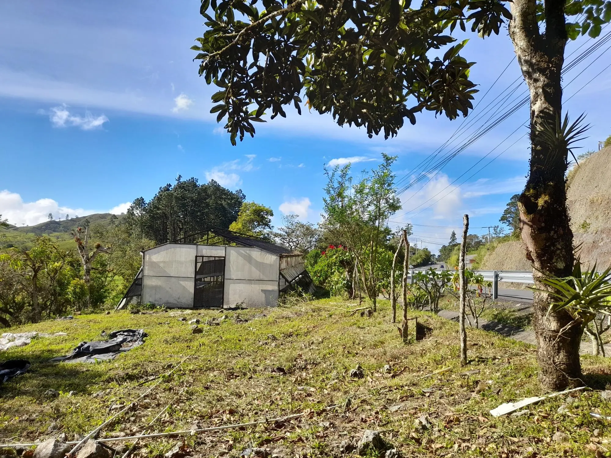 Volcan Chiriqui - Photo 88