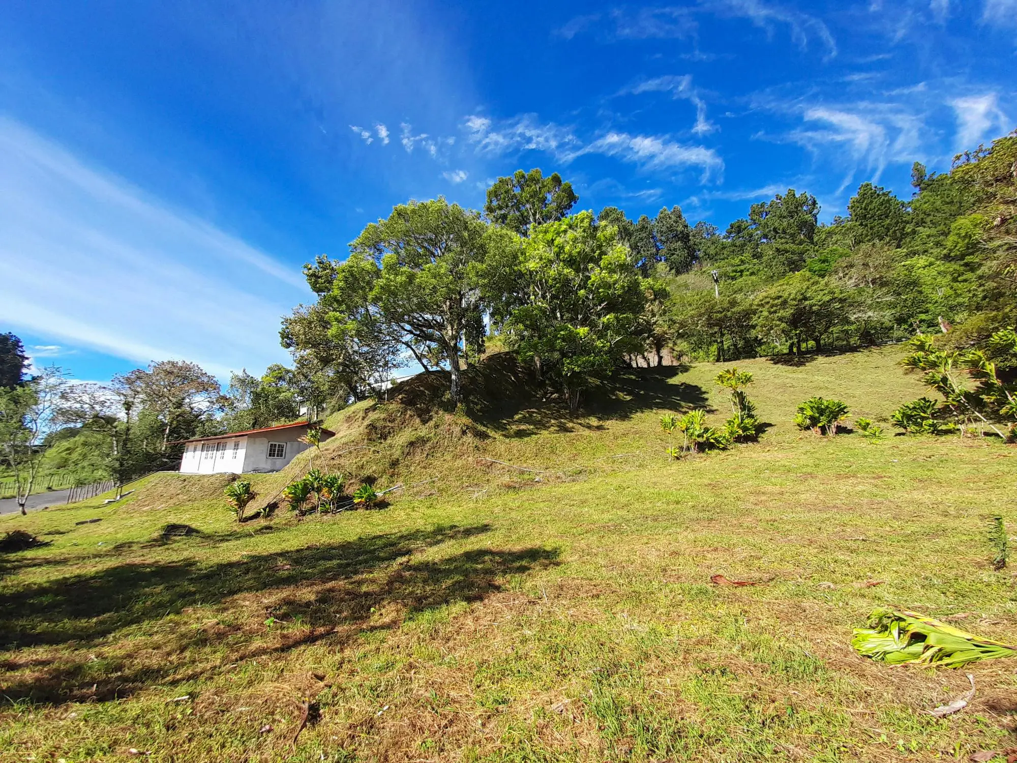 Volcan Chiriqui - Photo 211