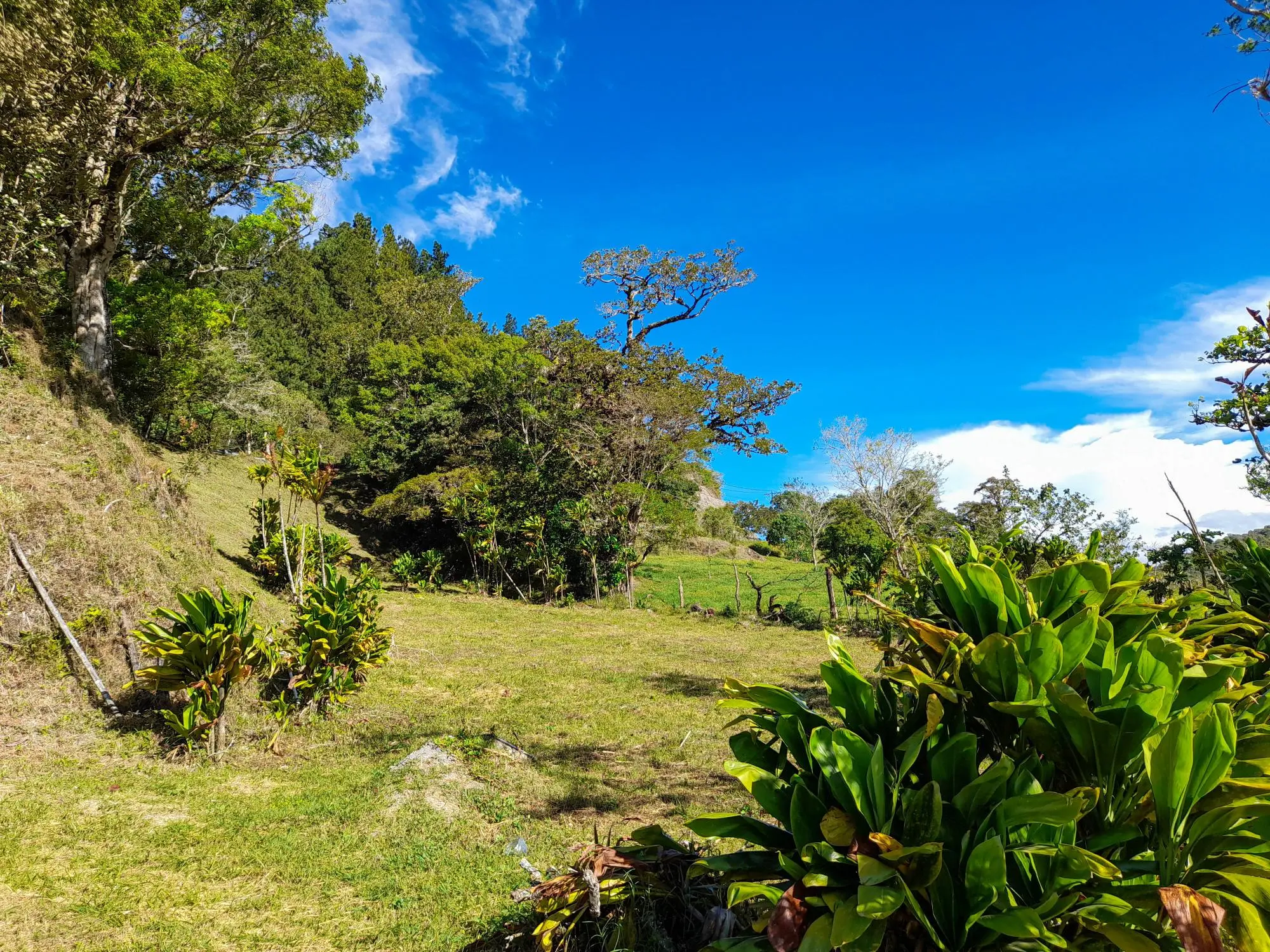 Volcan Chiriqui - Photo 199