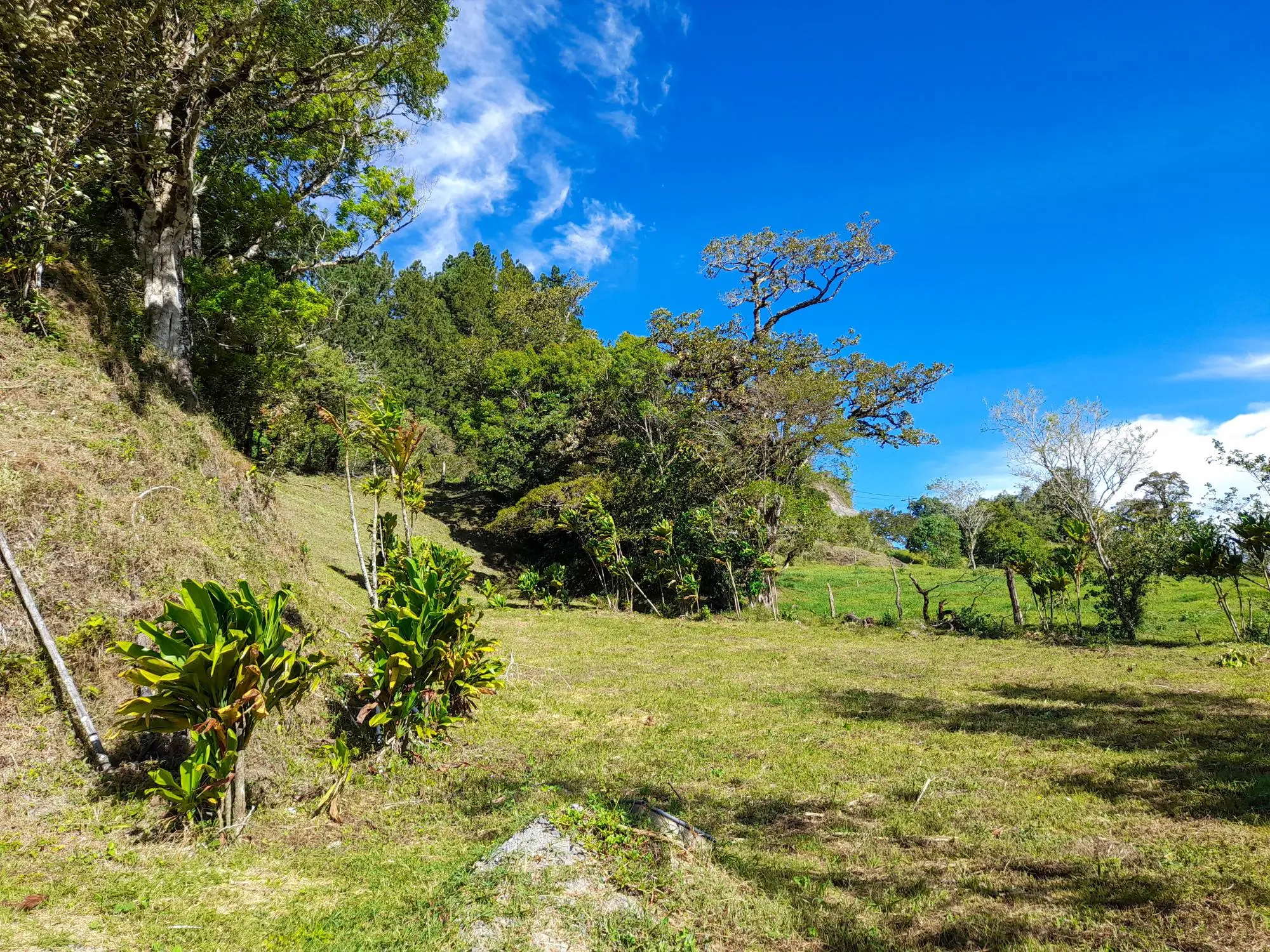 Volcan Chiriqui - Photo 202