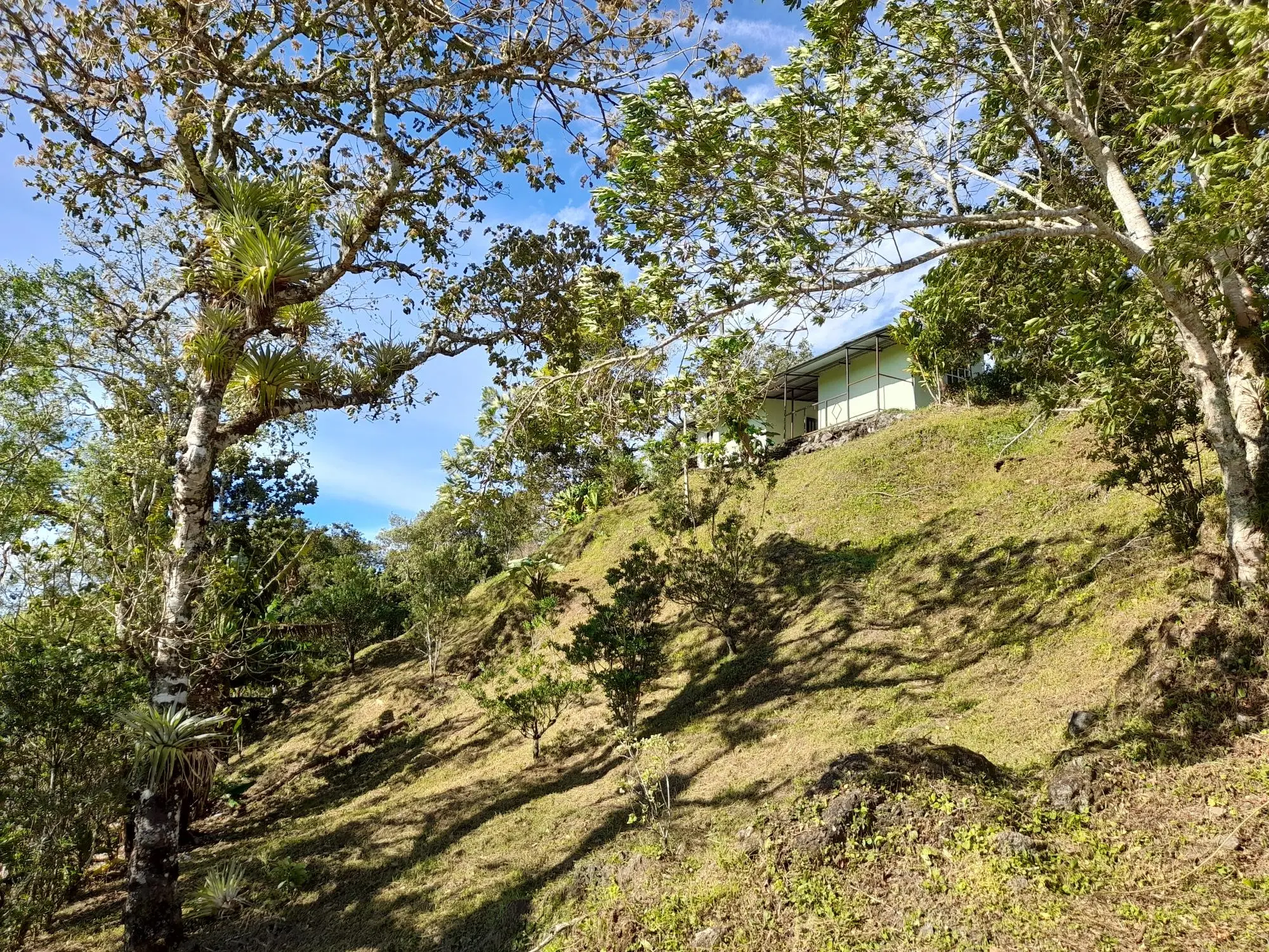 Volcan Chiriqui - Photo 141