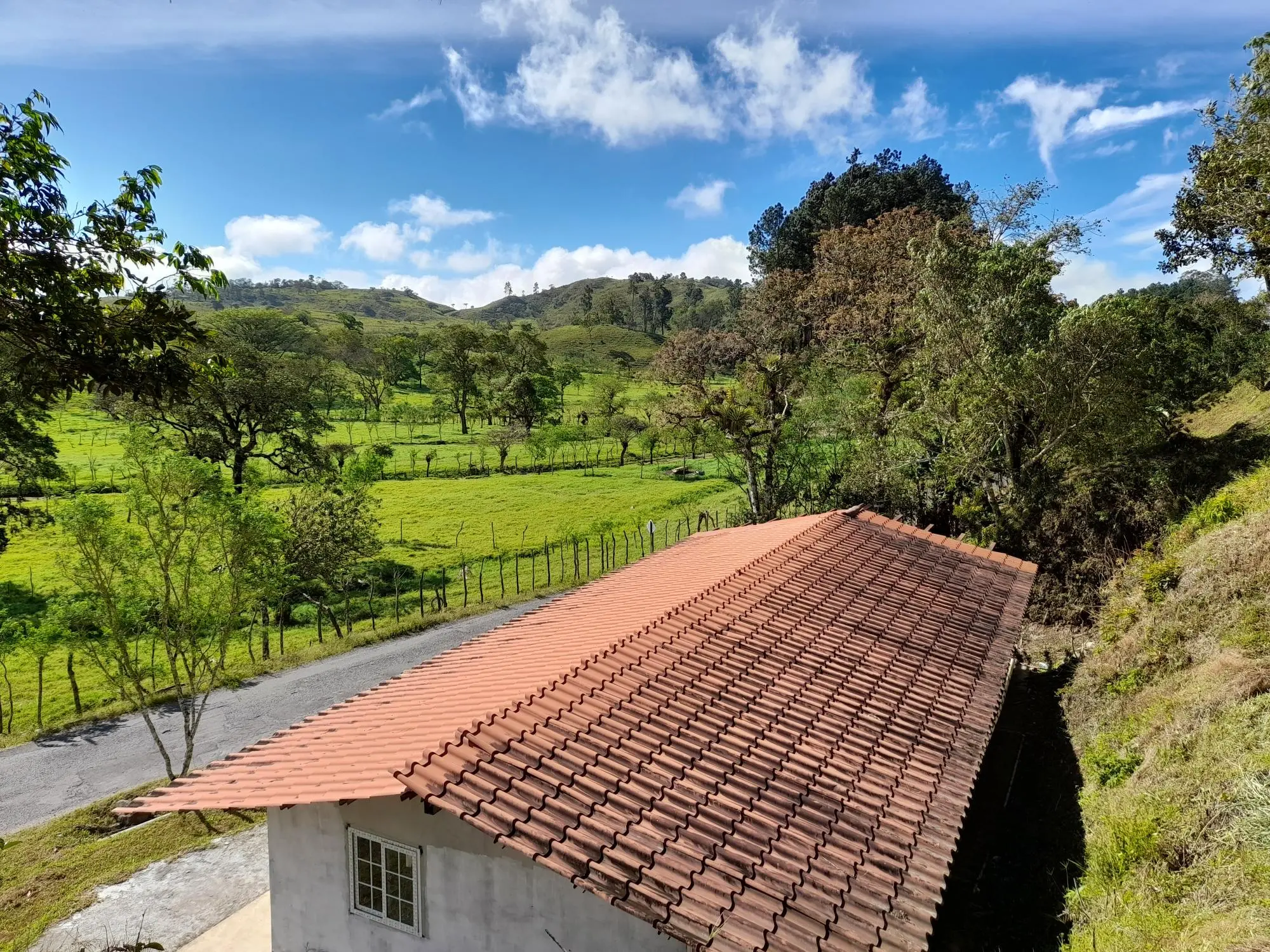 Volcan Chiriqui - Photo 111