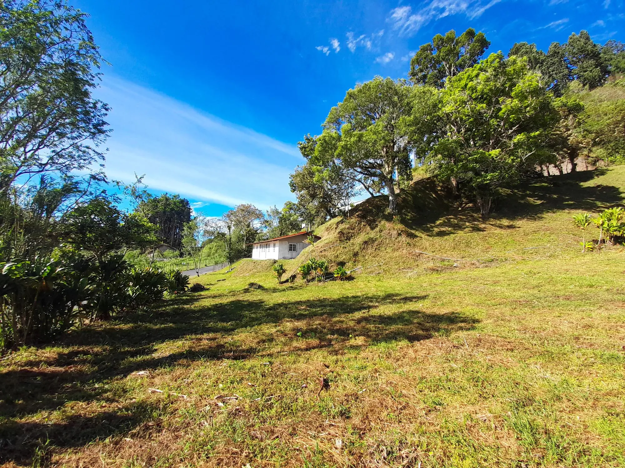 Volcan Chiriqui - Photo 138