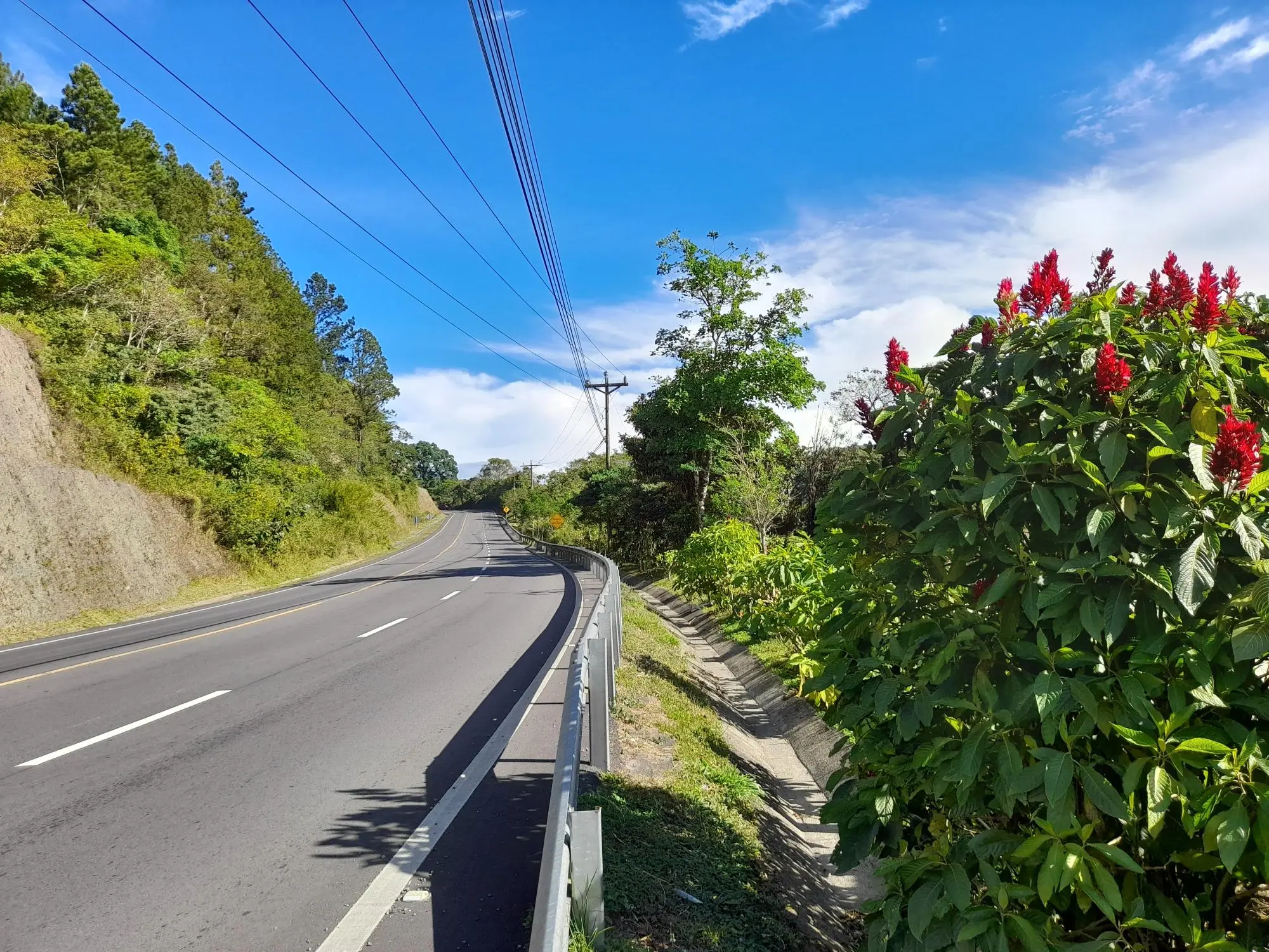 Volcan Chiriqui - Photo 34