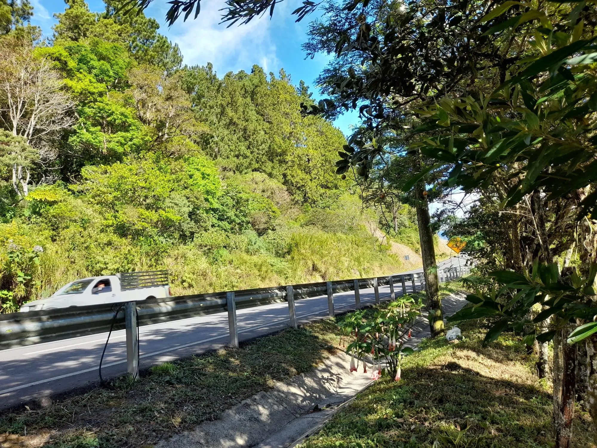 Volcan Chiriqui - Photo 94